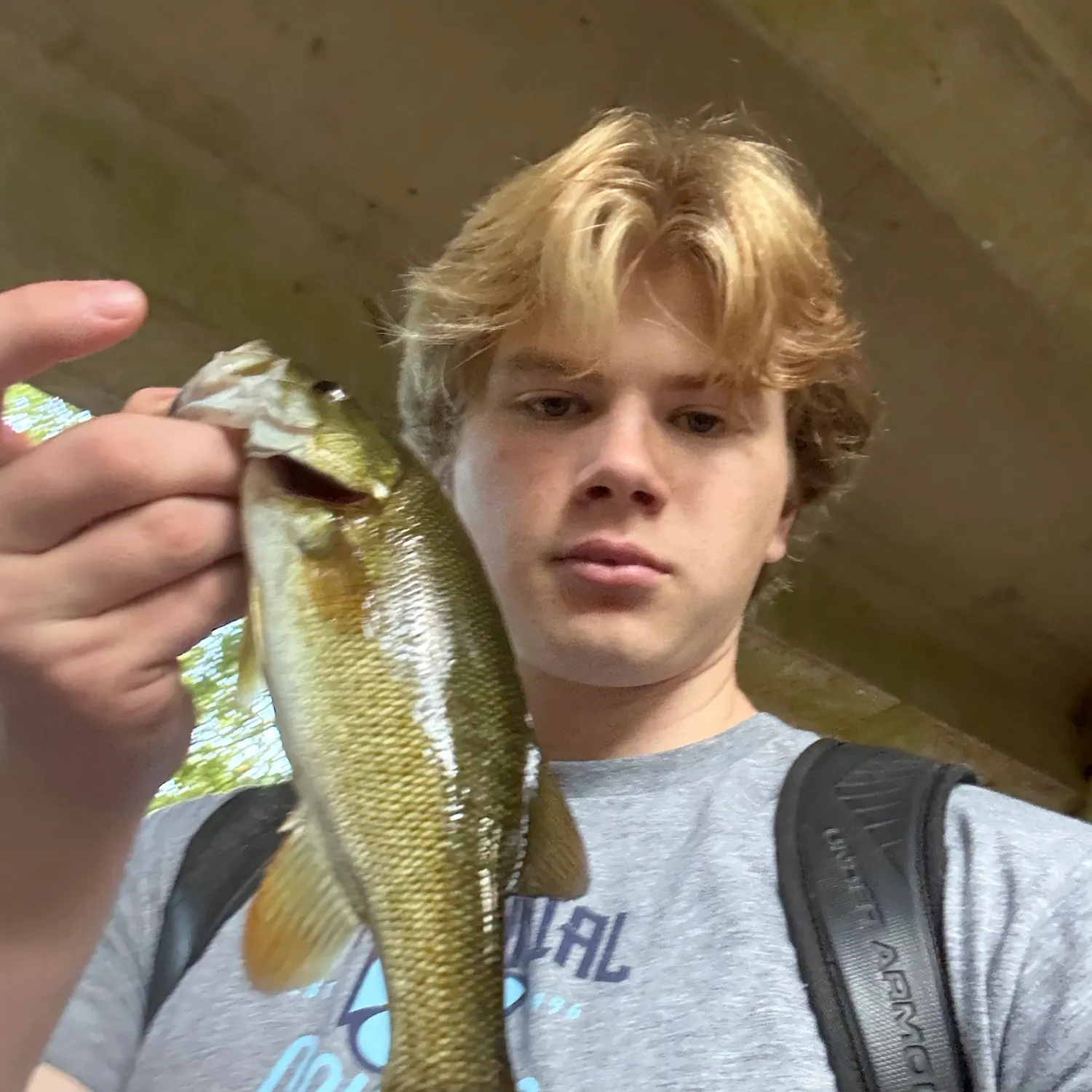 Smallmouth bass caught on Fishbrain