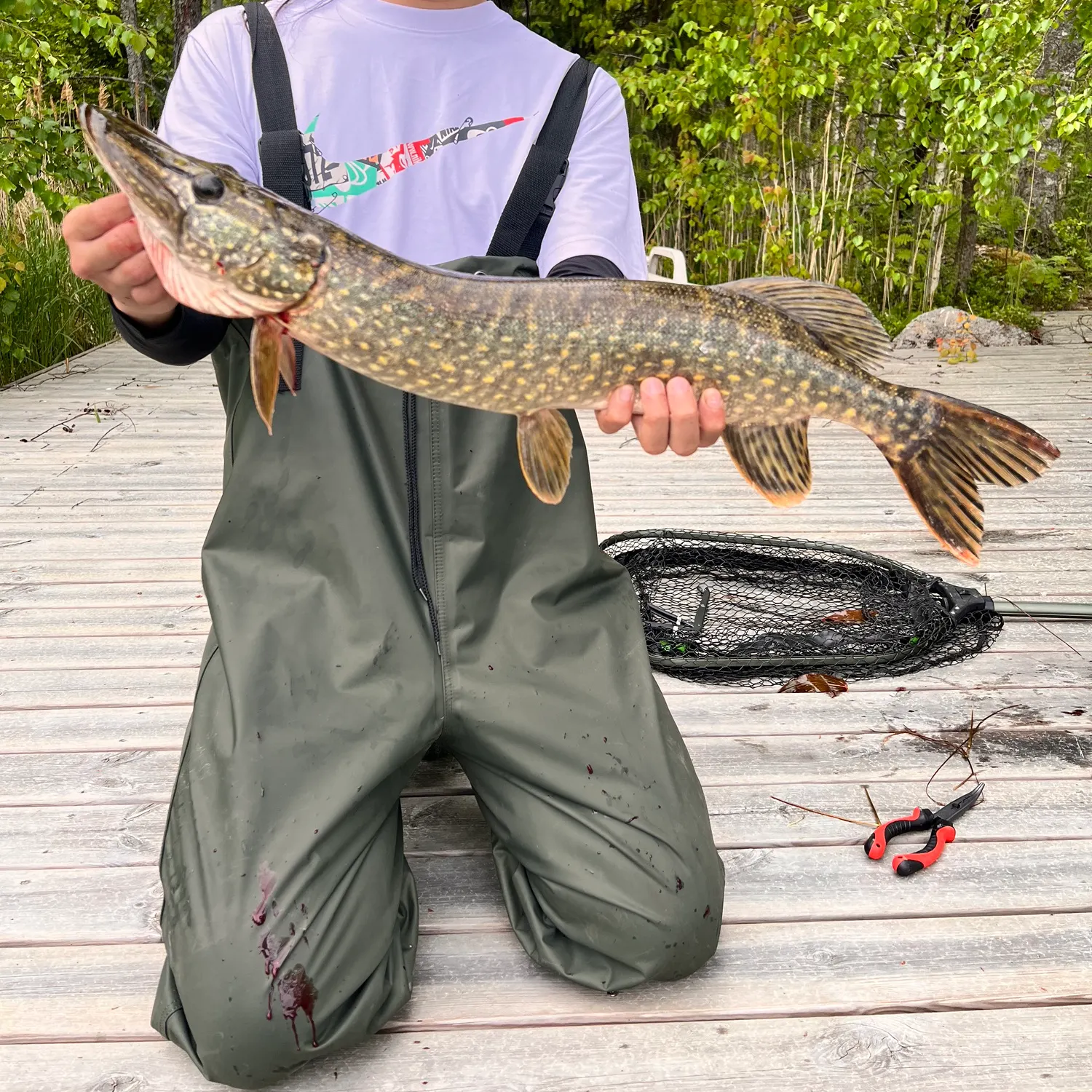 recently logged catches