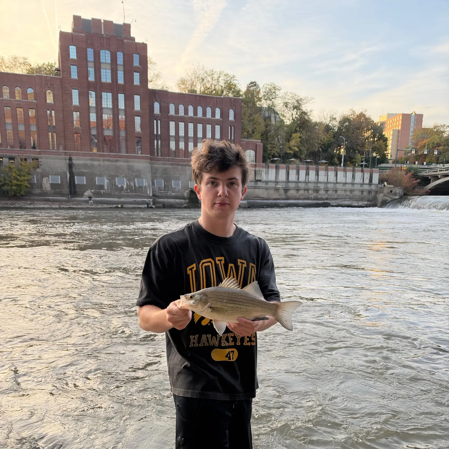 White bass caught on Fishbrain