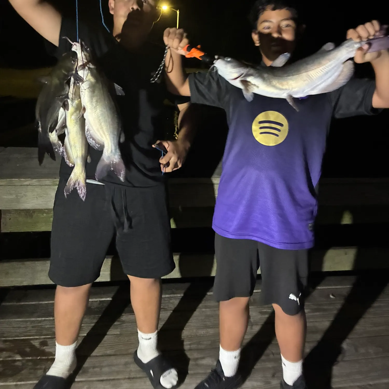 Channel catfish caught on Fishbrain