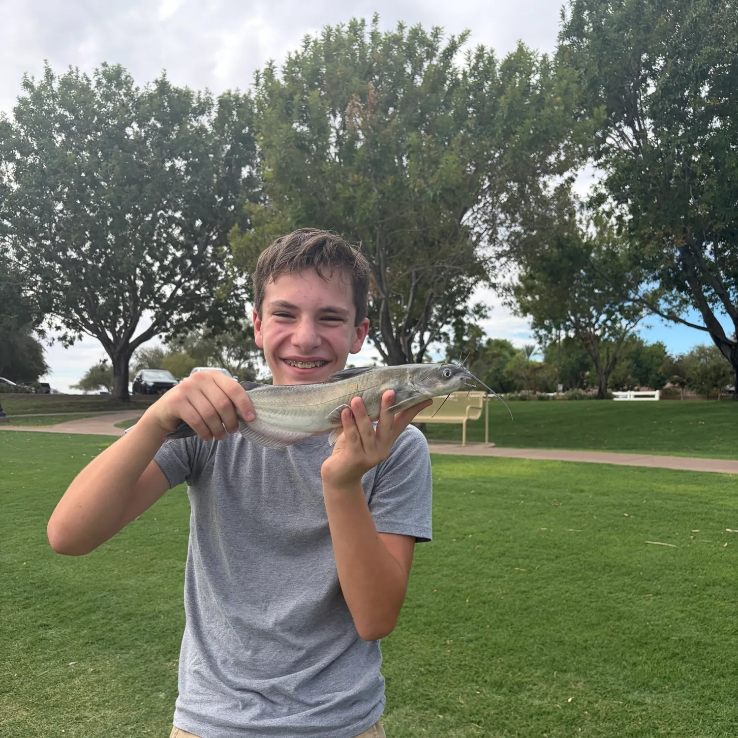 Channel catfish caught on Fishbrain