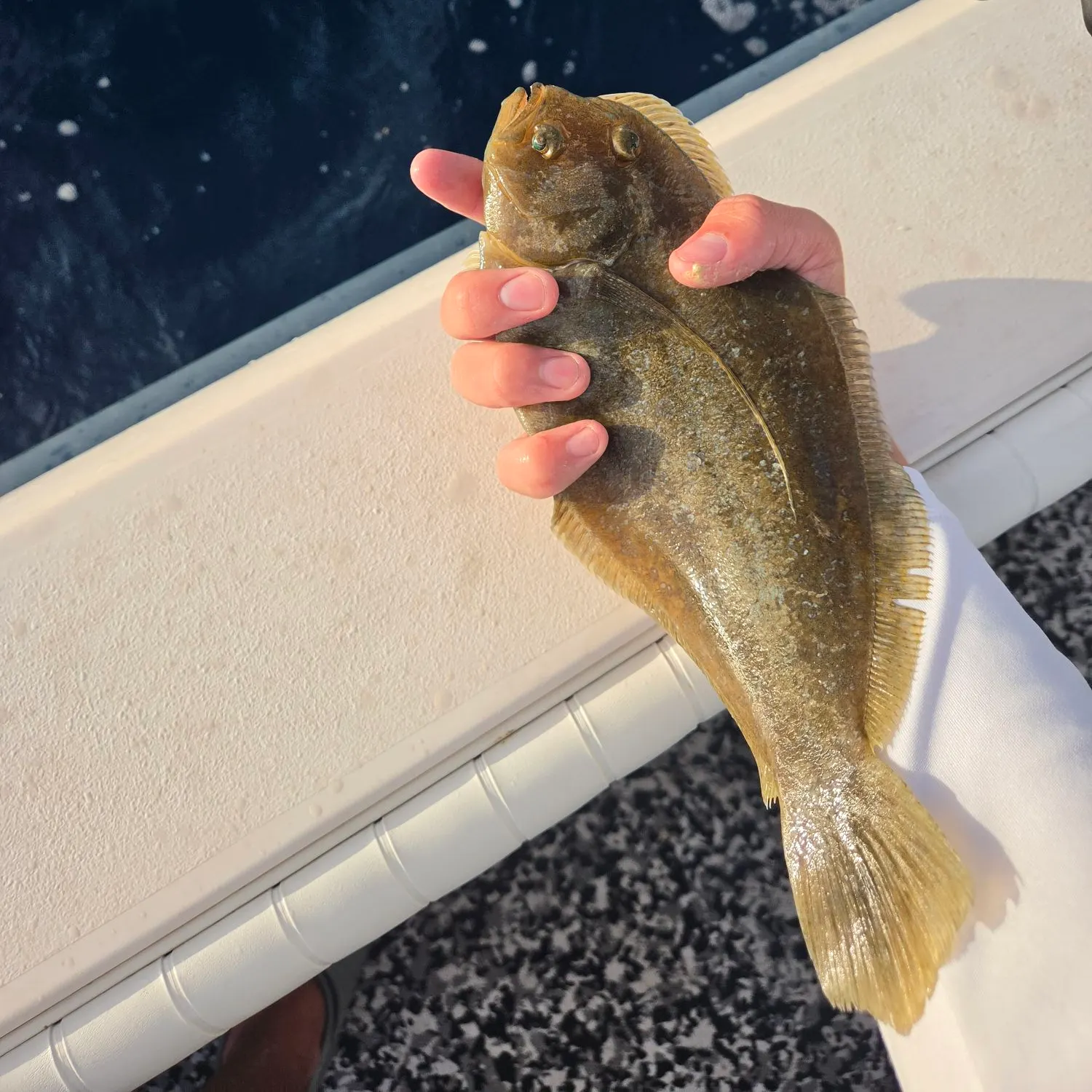 The most recent Dusky flounder catches on Fishbrain