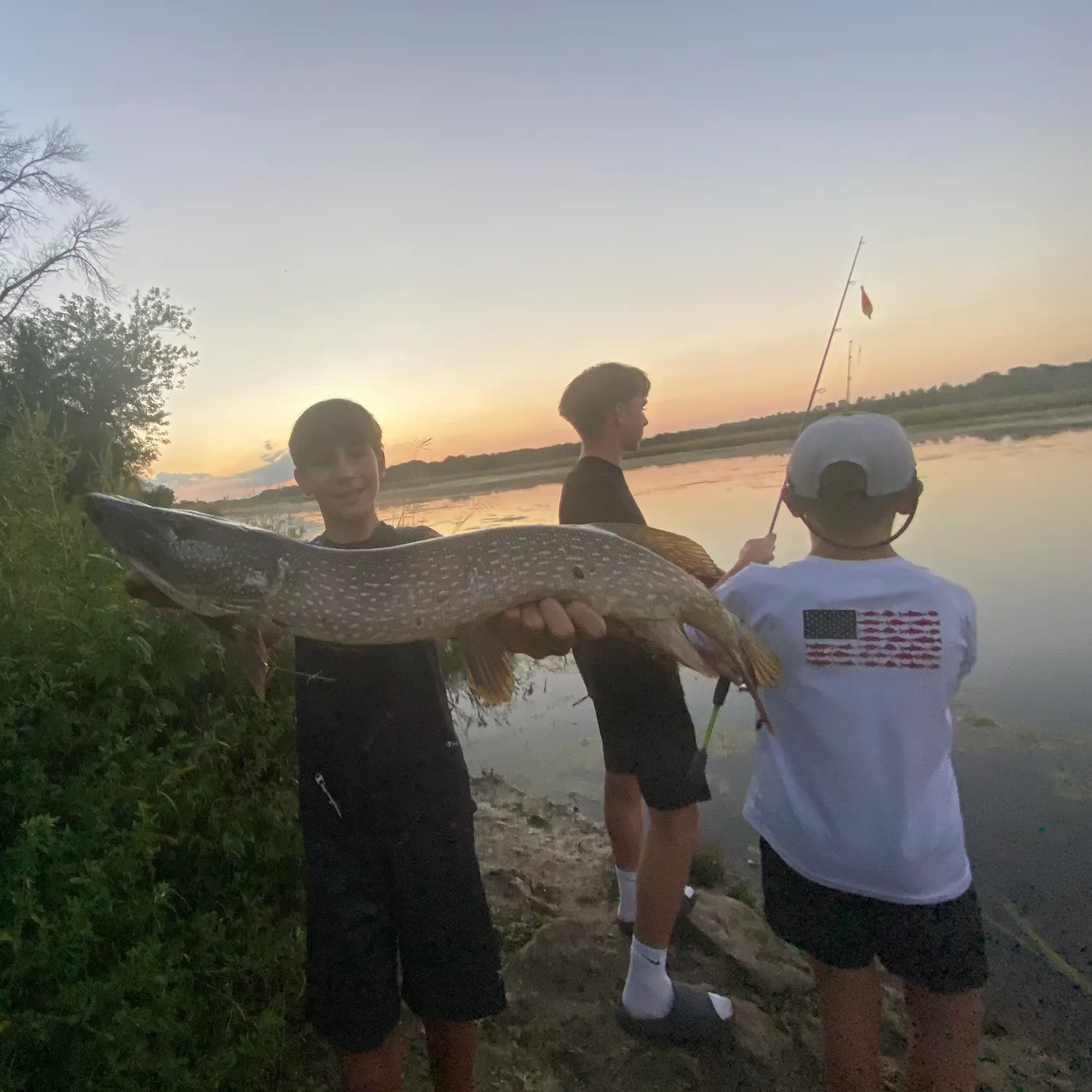 Northern pike caught on Fishbrain