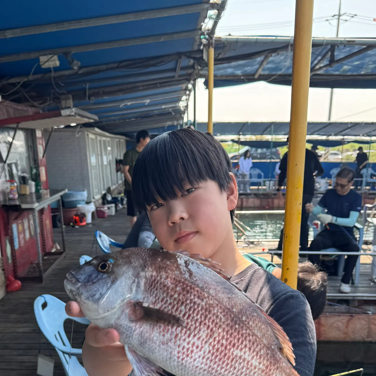 The most recent Blackspot seabream catches on Fishbrain