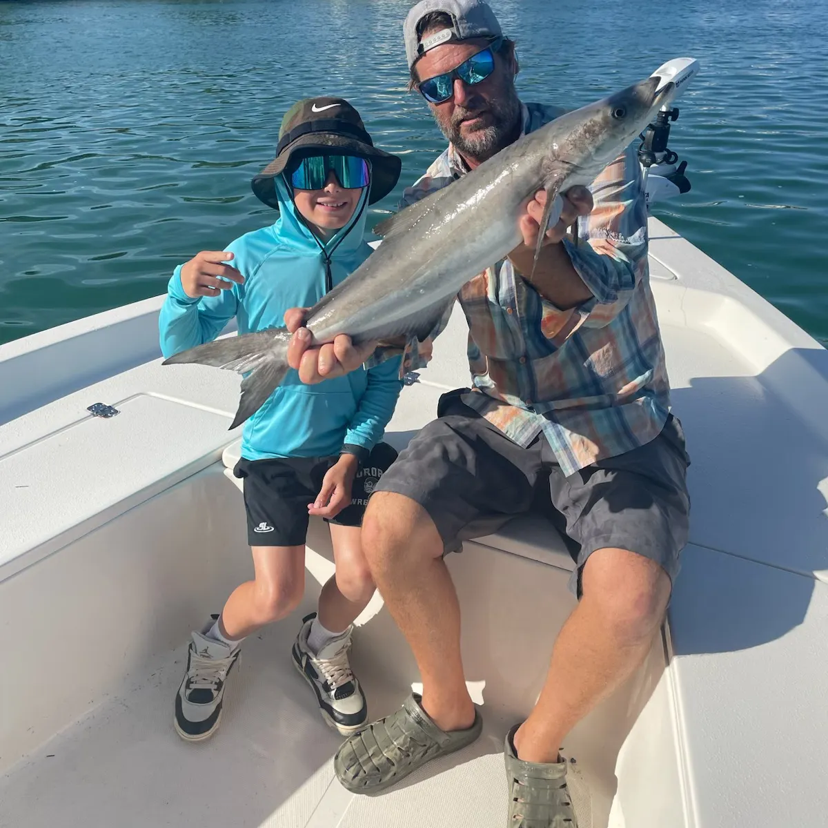 The most recent Cobia catches on Fishbrain