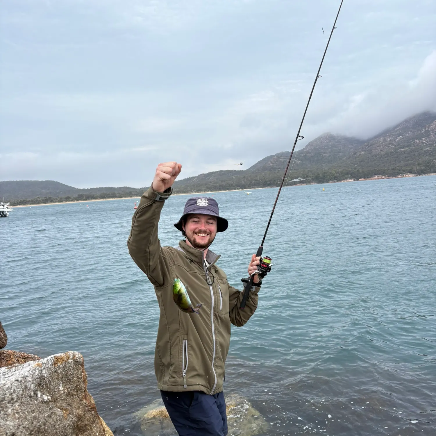 The most recent Blue-throated wrasse catches on Fishbrain