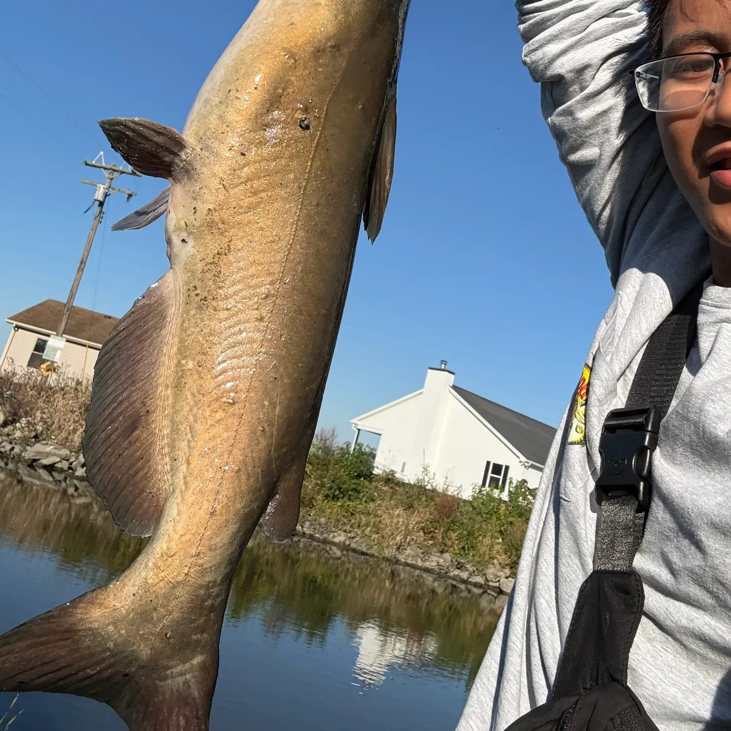 Channel catfish caught on Fishbrain
