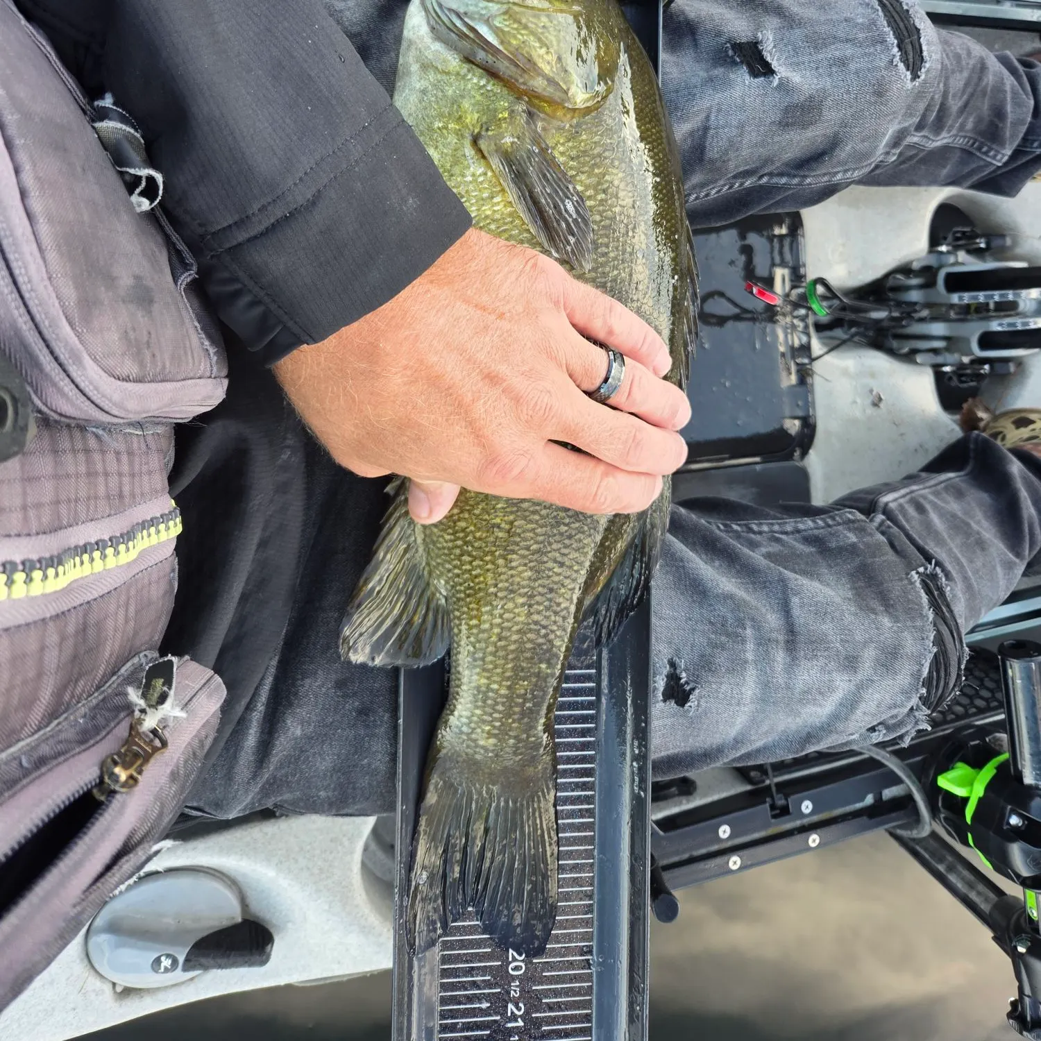 Smallmouth bass caught on Fishbrain