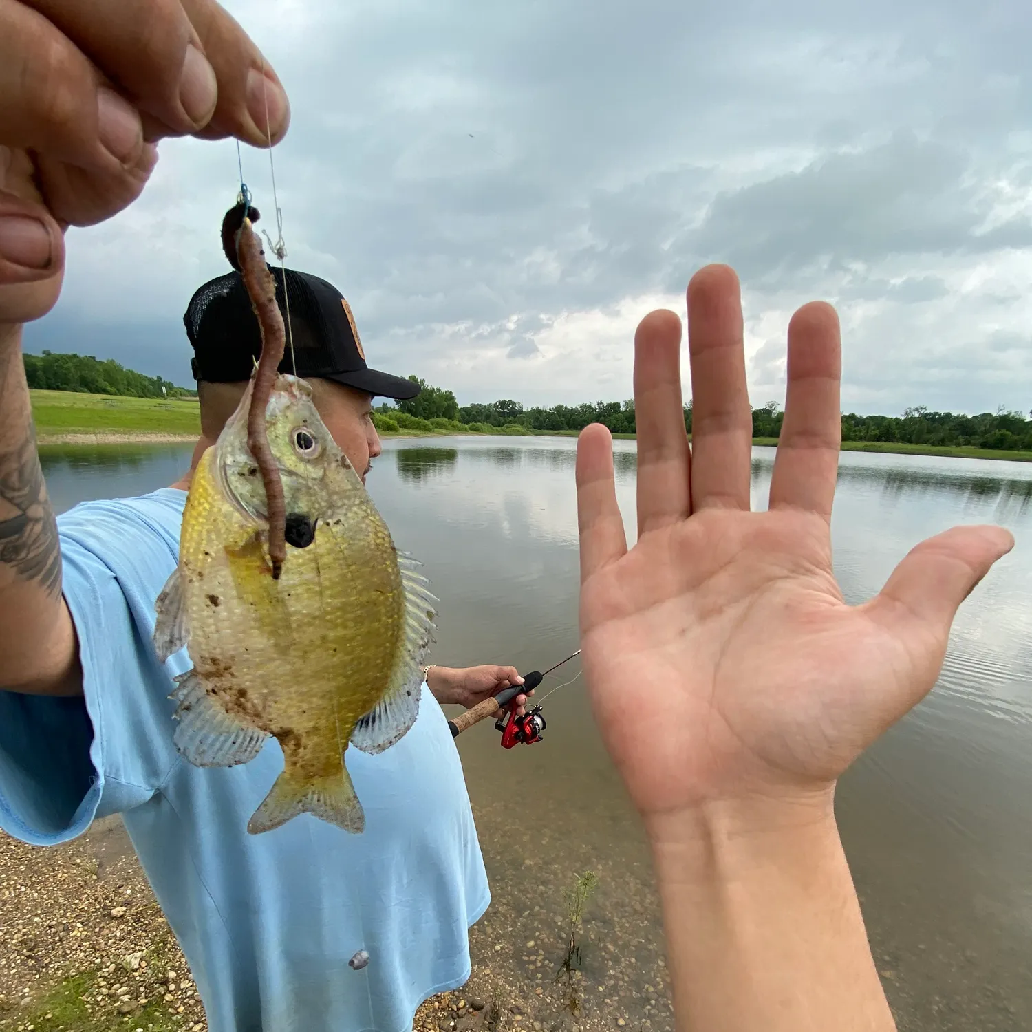 catch
