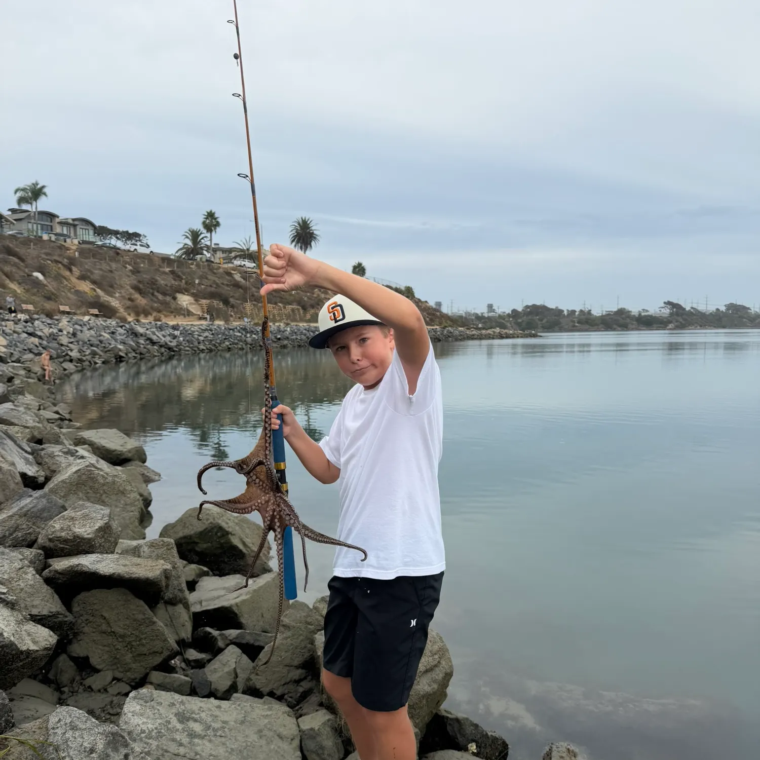 The most recent California two-spot octopus catches on Fishbrain
