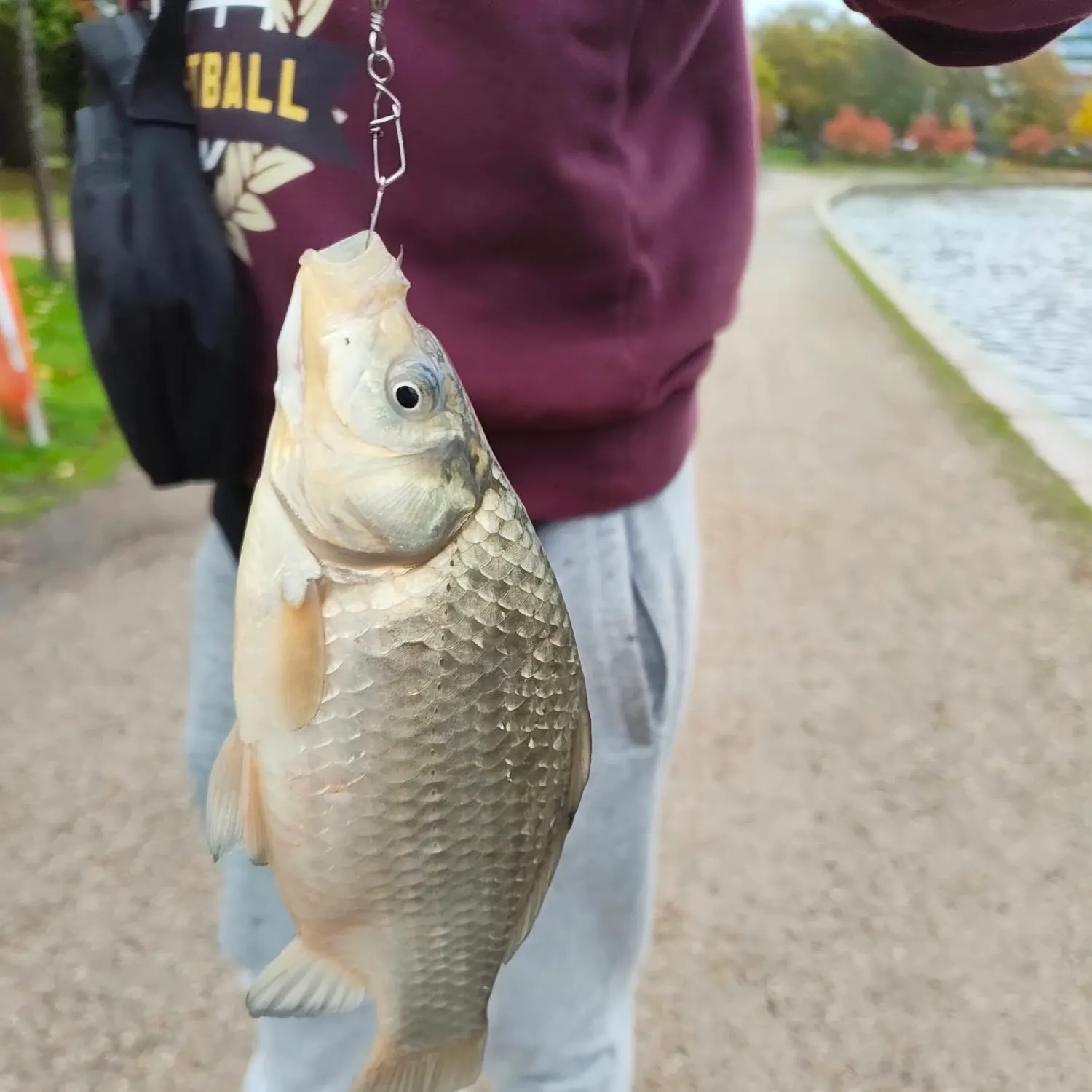 catch
