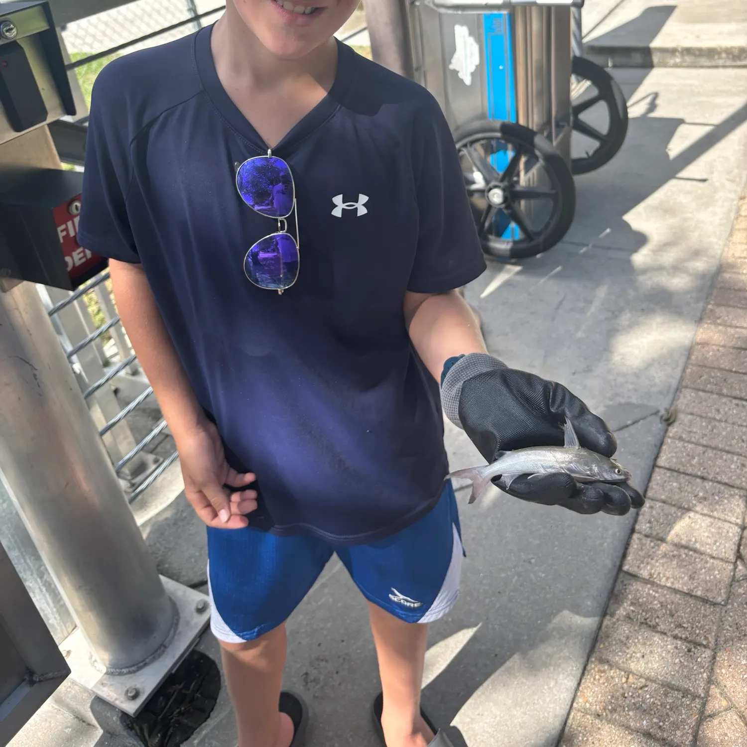Gafftopsail sea catfish caught on Fishbrain