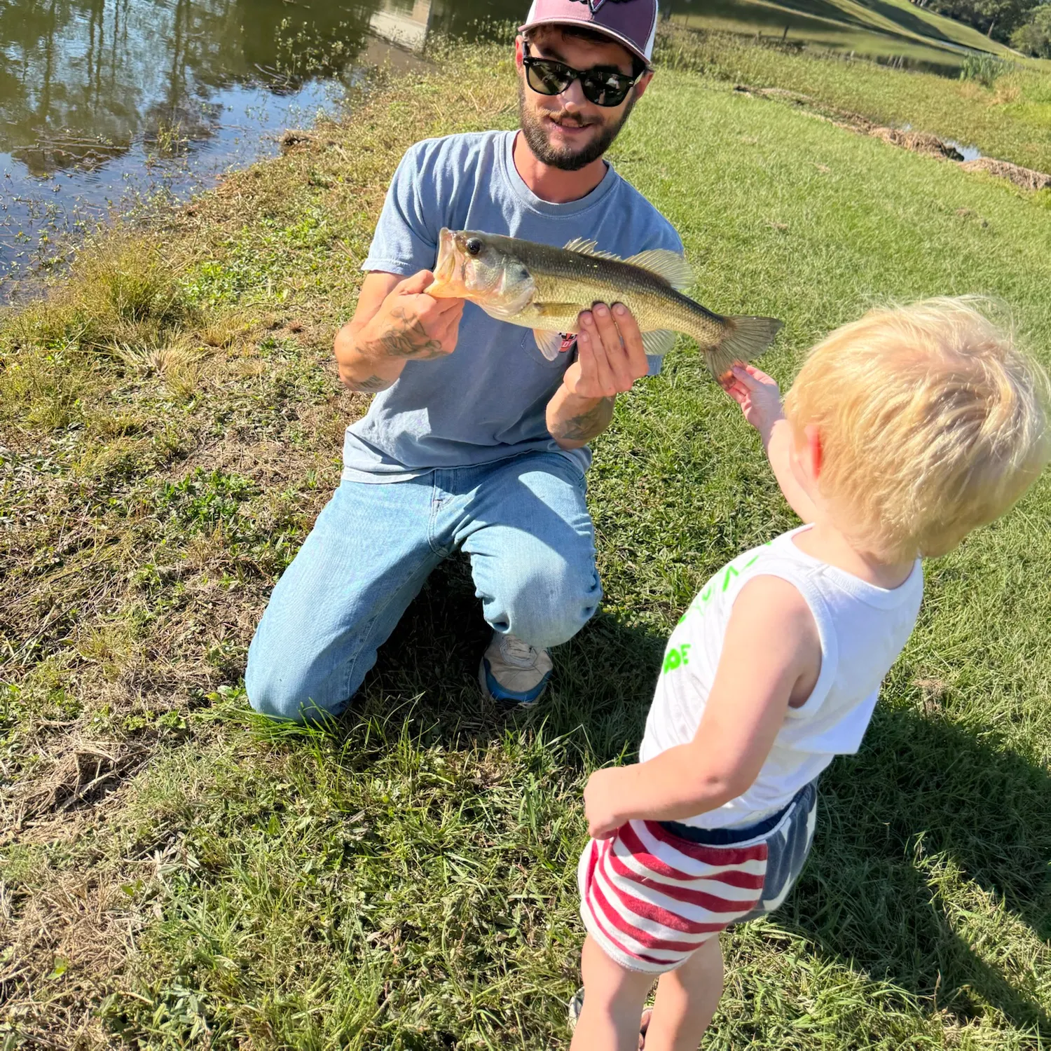 Largemouth bass caught on Fishbrain