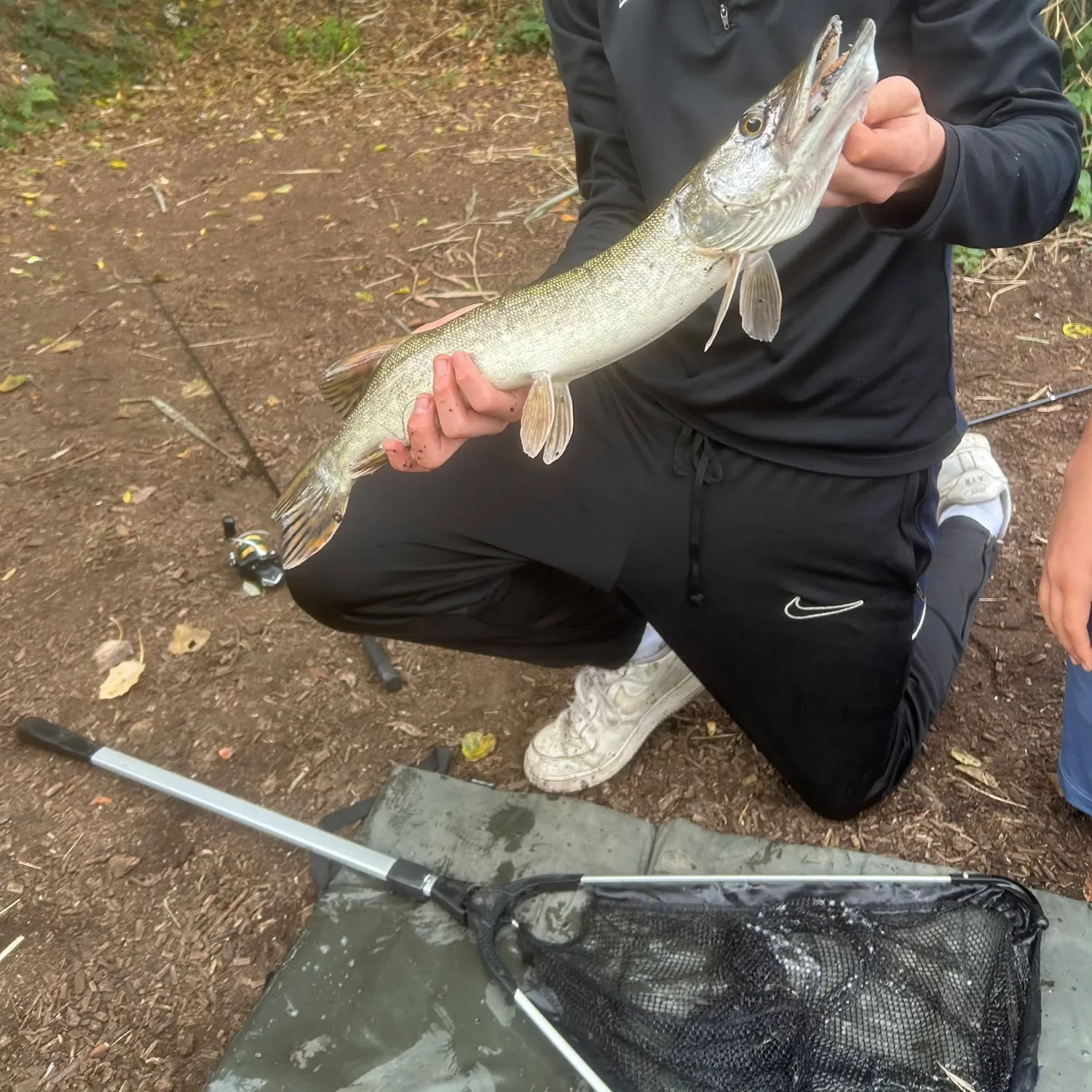 Northern pike caught on Fishbrain