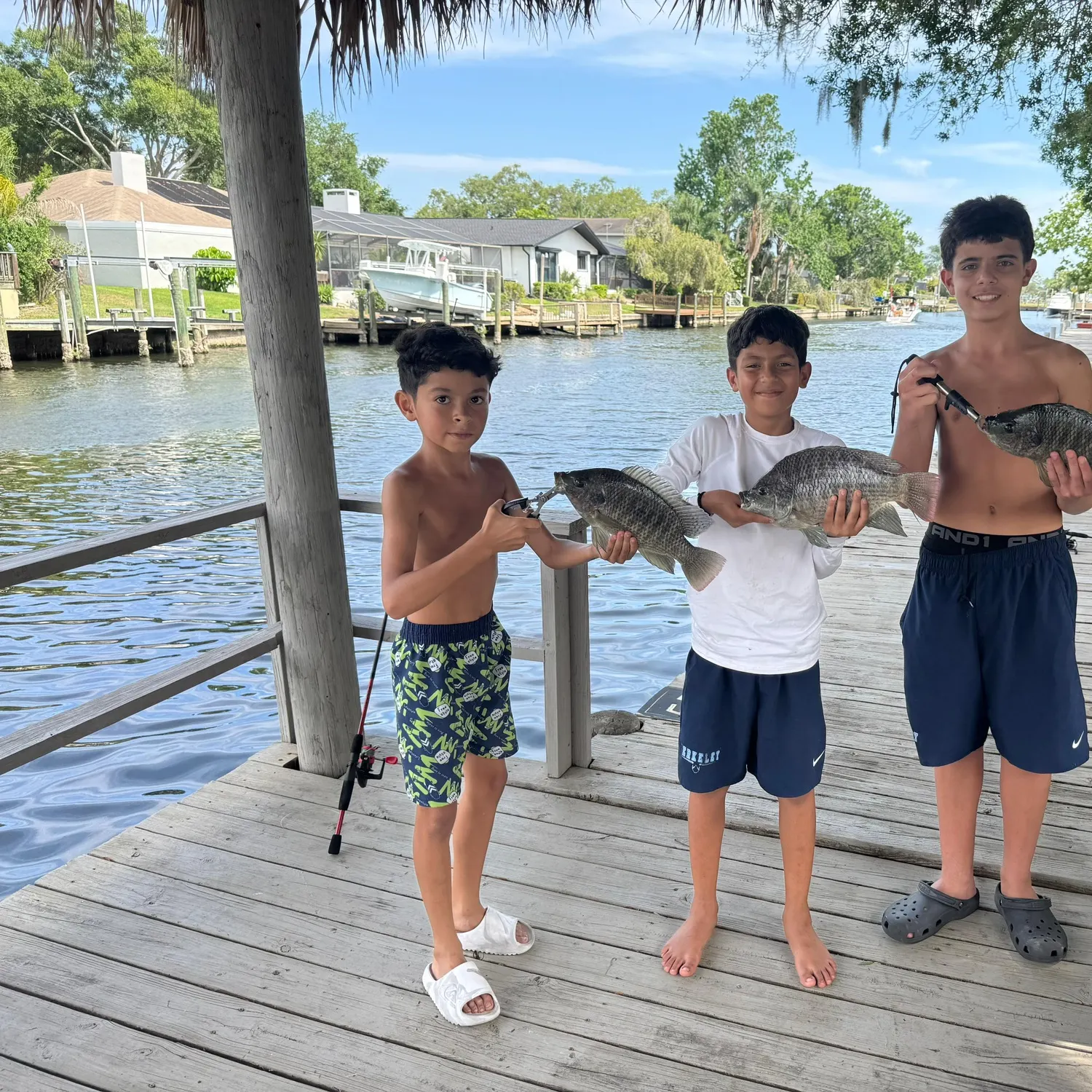 The most recent Longfin tilapia catches on Fishbrain