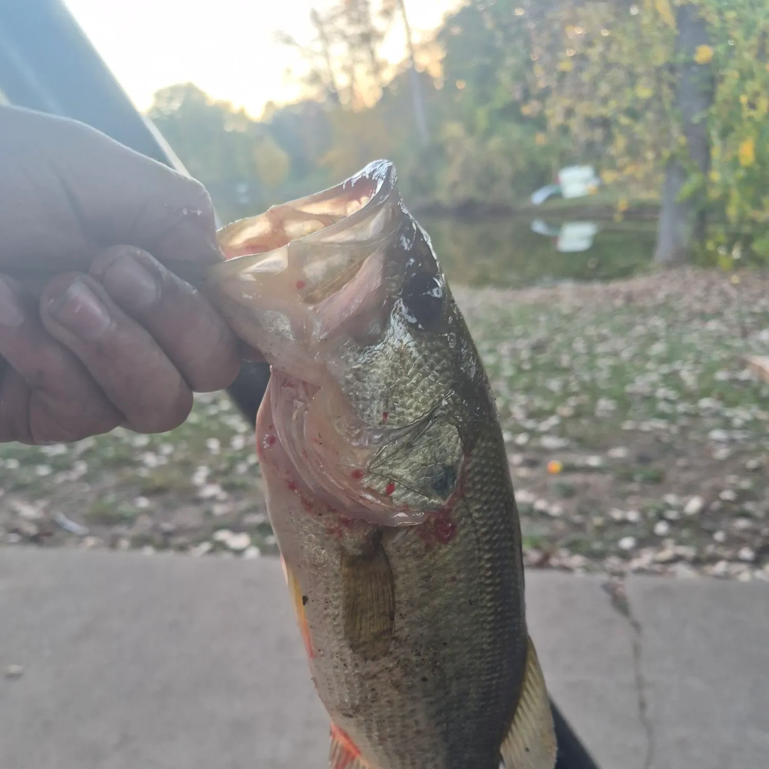 catch