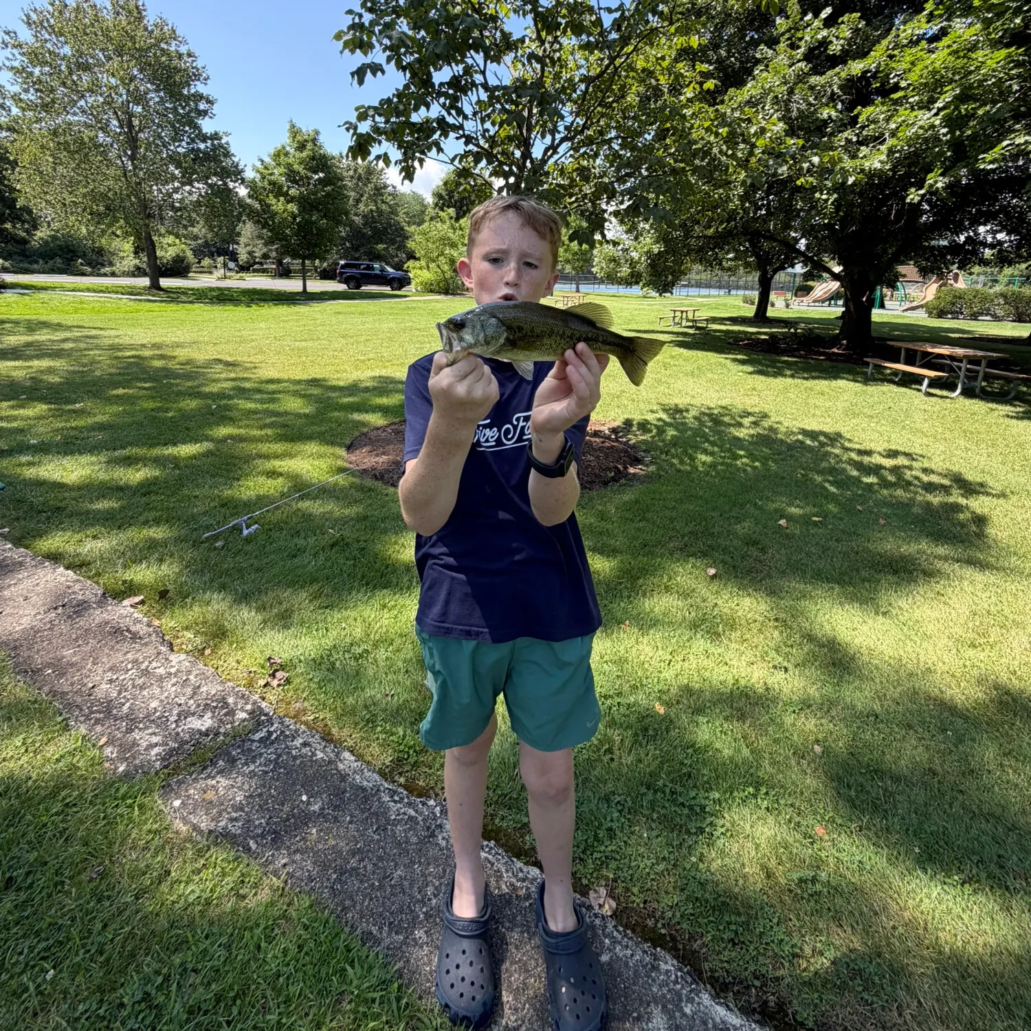 Largemouth bass caught on Fishbrain