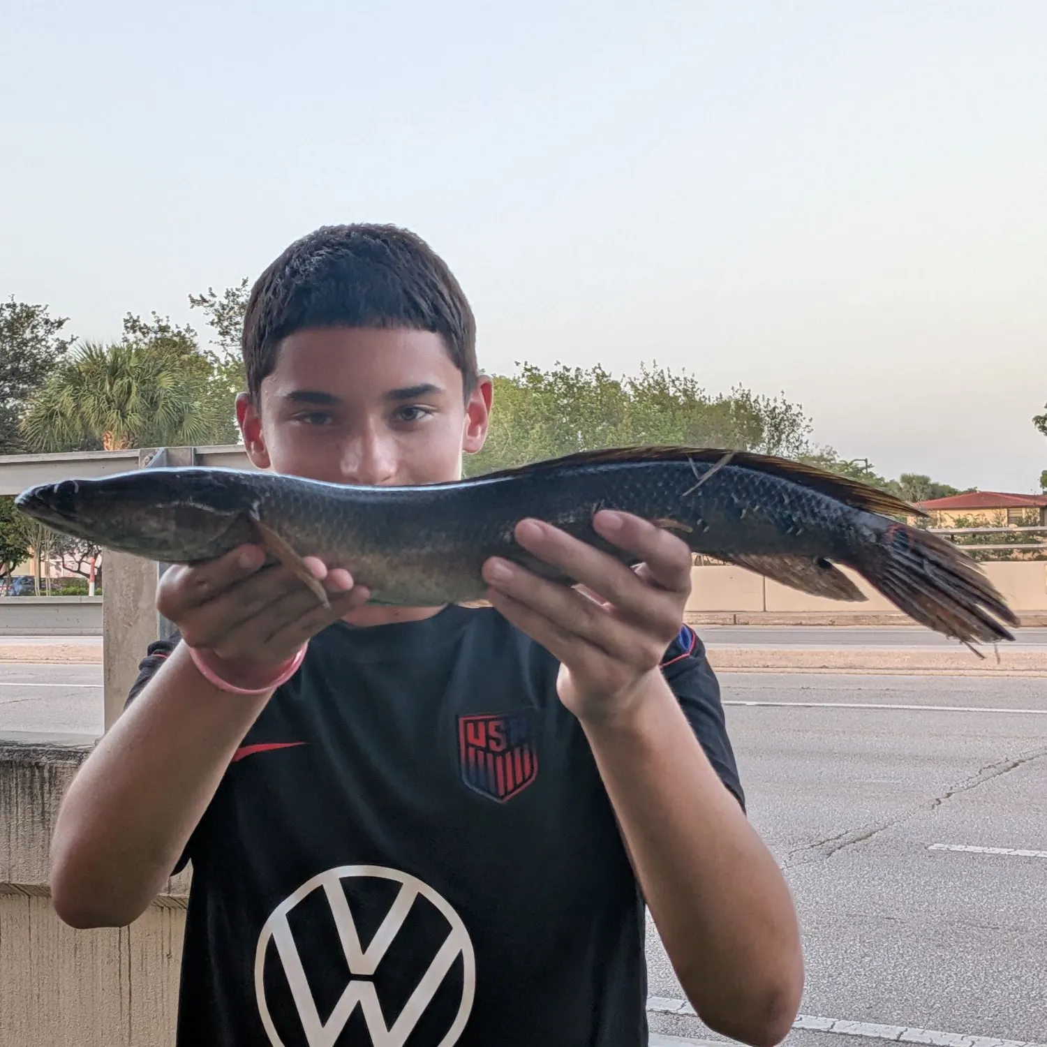 The most recent Bullseye snakehead catches on Fishbrain