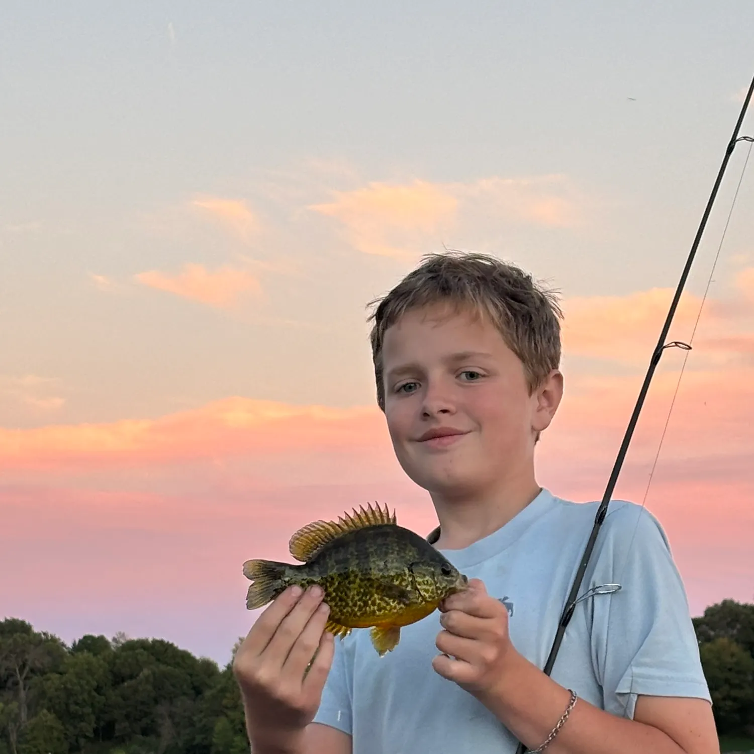 Pumpkinseed caught on Fishbrain
