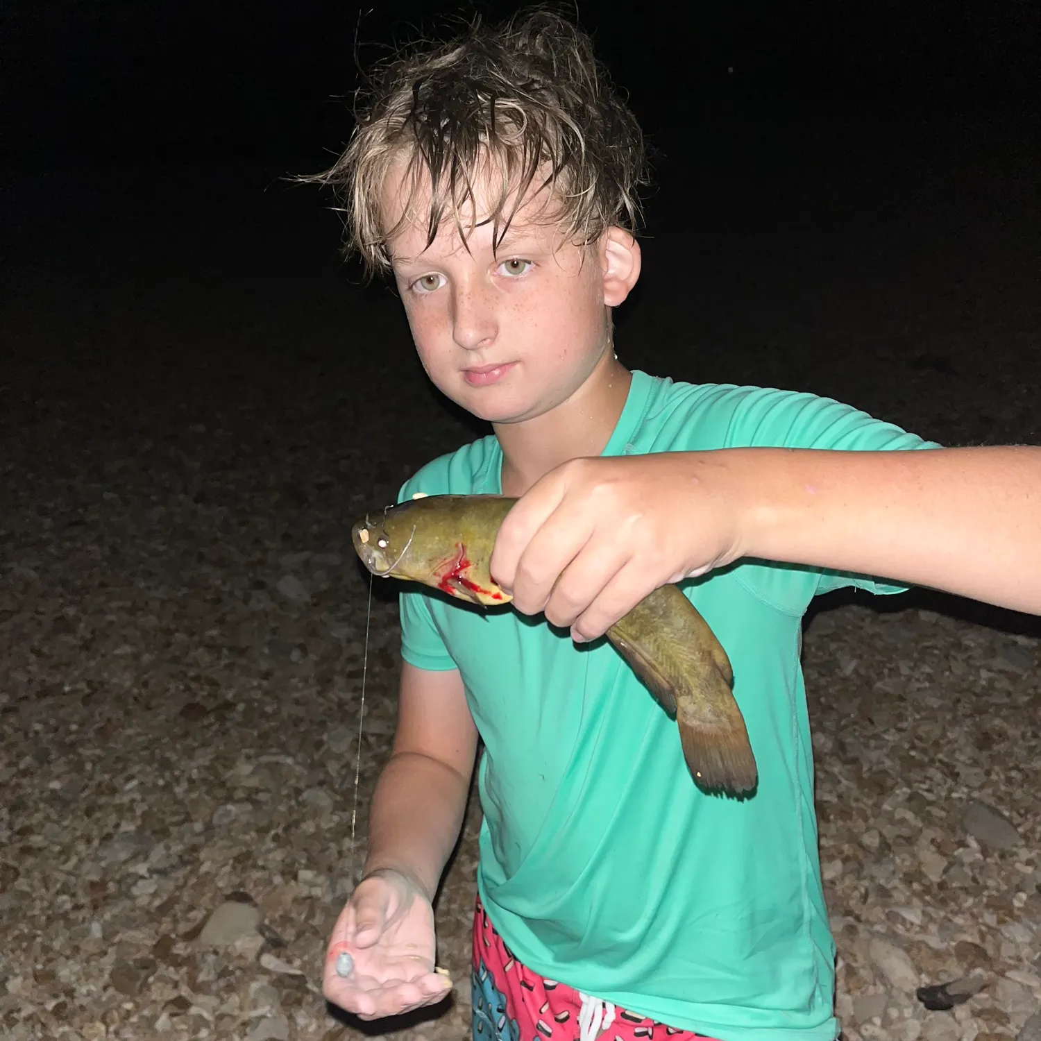 Yellow bullhead caught on Fishbrain