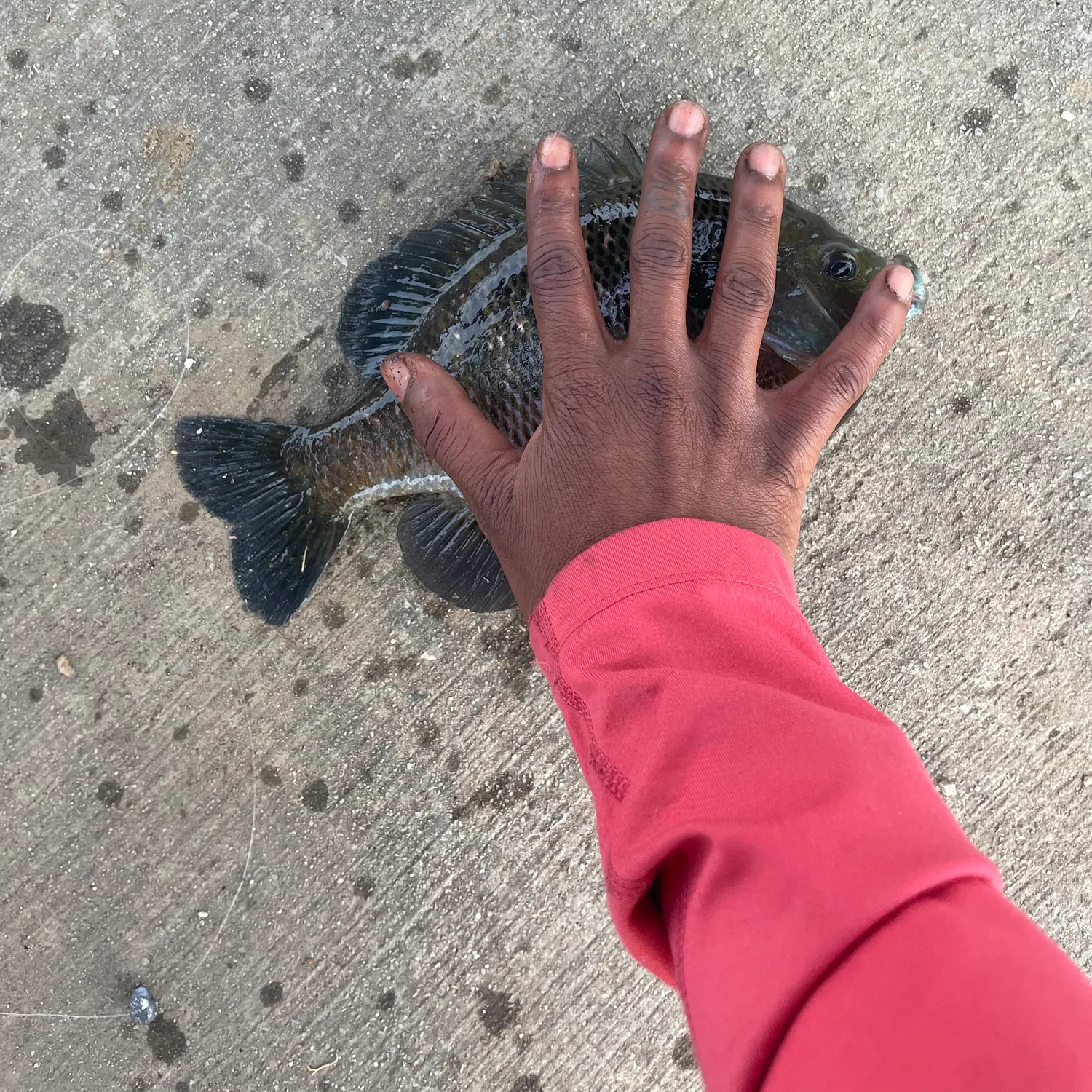 catch
