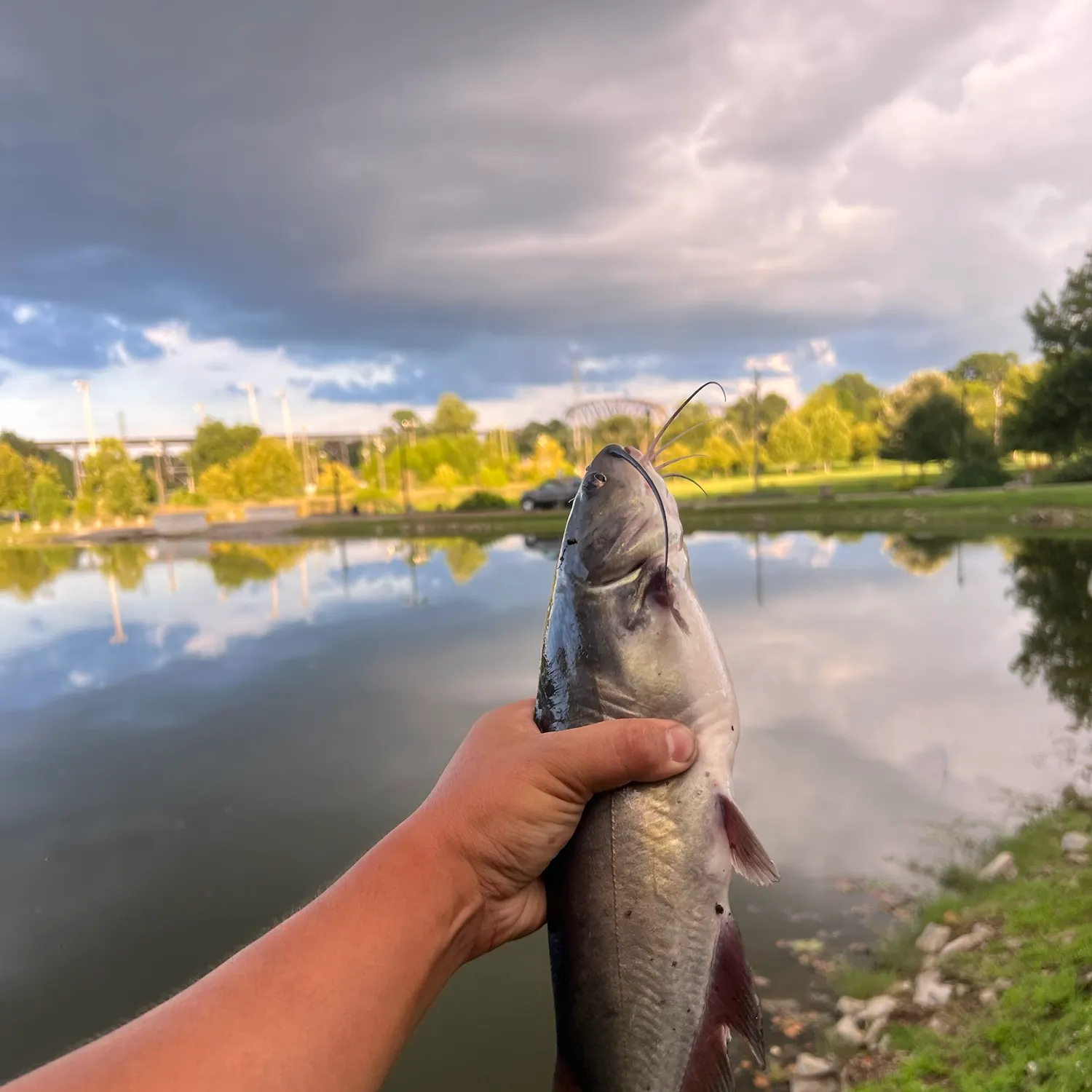 catch