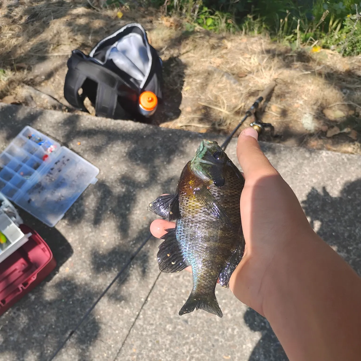 catch