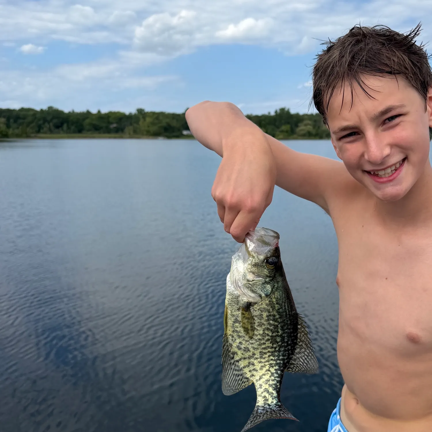 Black crappie caught on Fishbrain