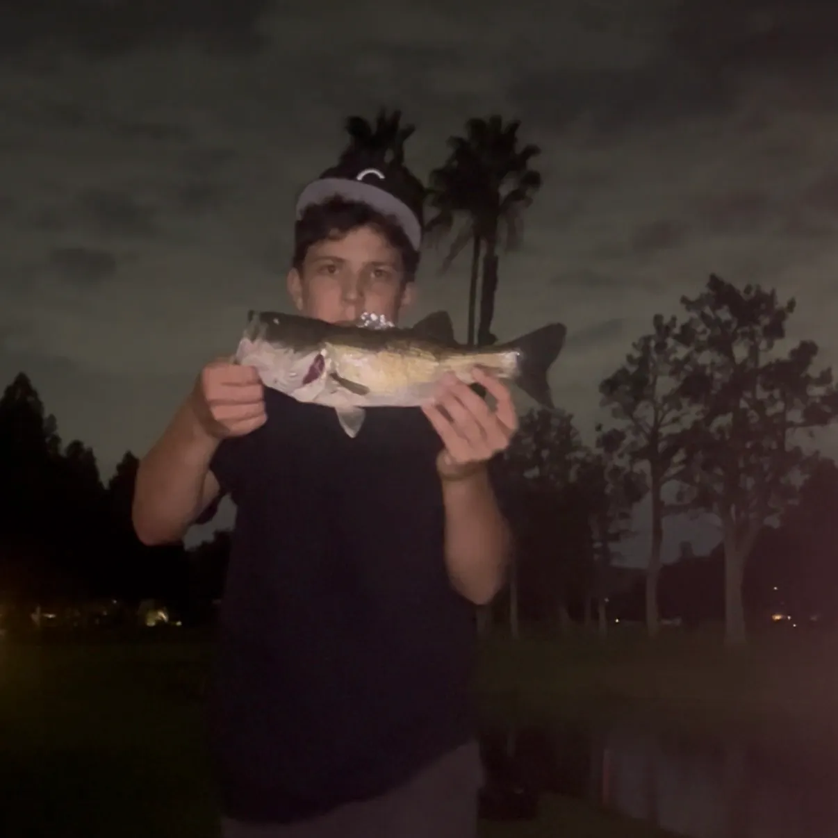 Dusky shark caught on Fishbrain