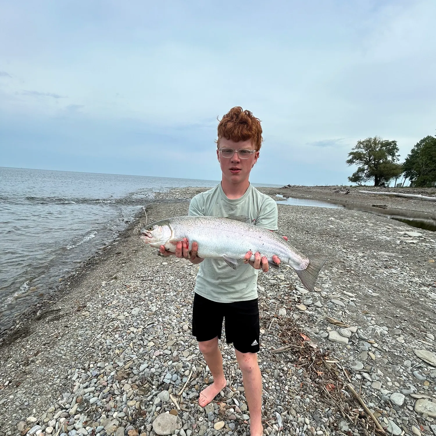 The most recent Coho salmon catches on Fishbrain