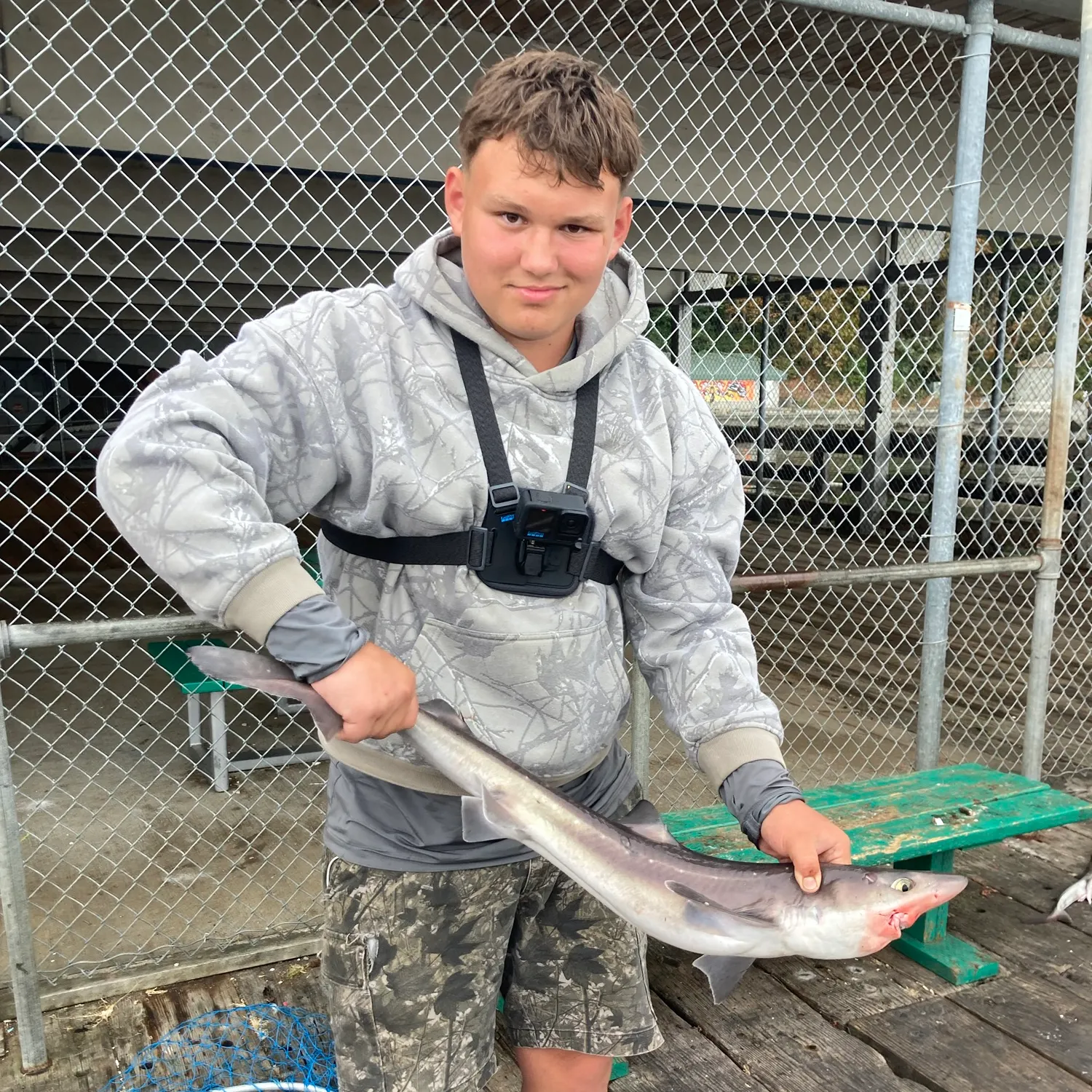 Pacific spiny dogfish caught on Fishbrain