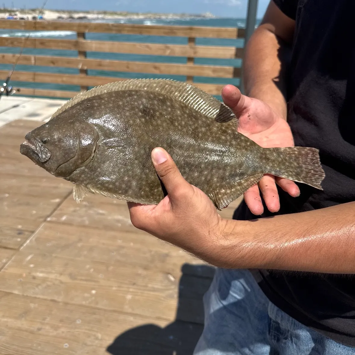 Southern flounder caught on Fishbrain