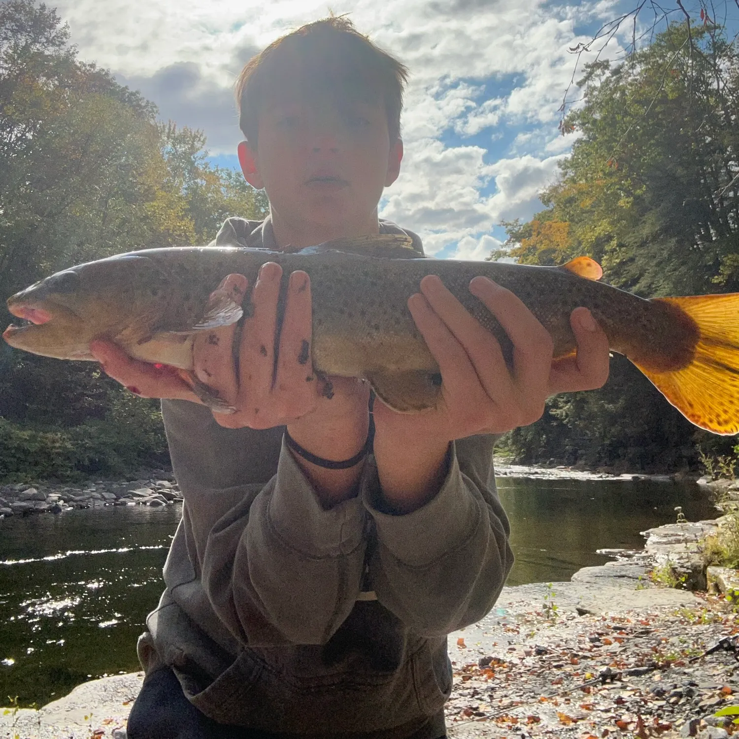 Brown trout caught on Fishbrain