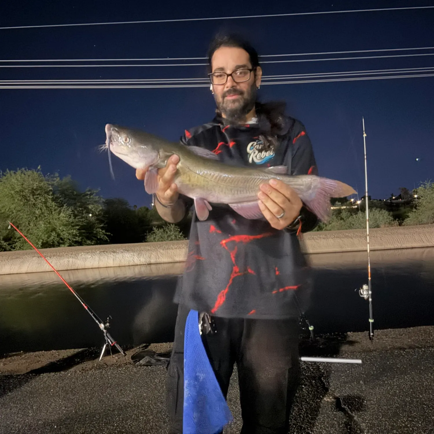 Channel catfish caught on Fishbrain