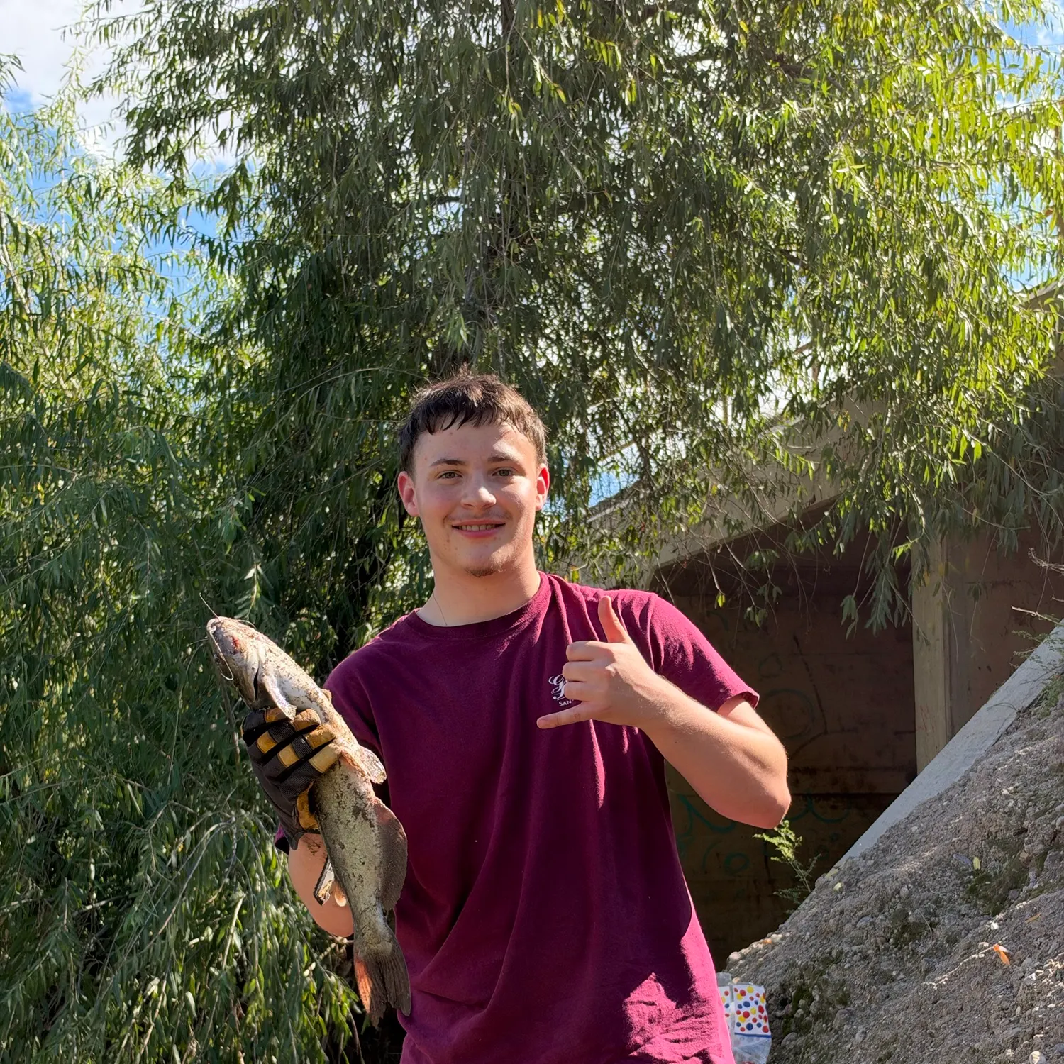 Channel catfish caught on Fishbrain