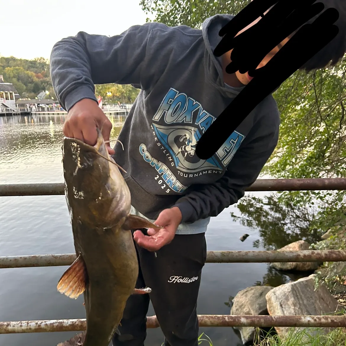 Flathead catfish caught on Fishbrain
