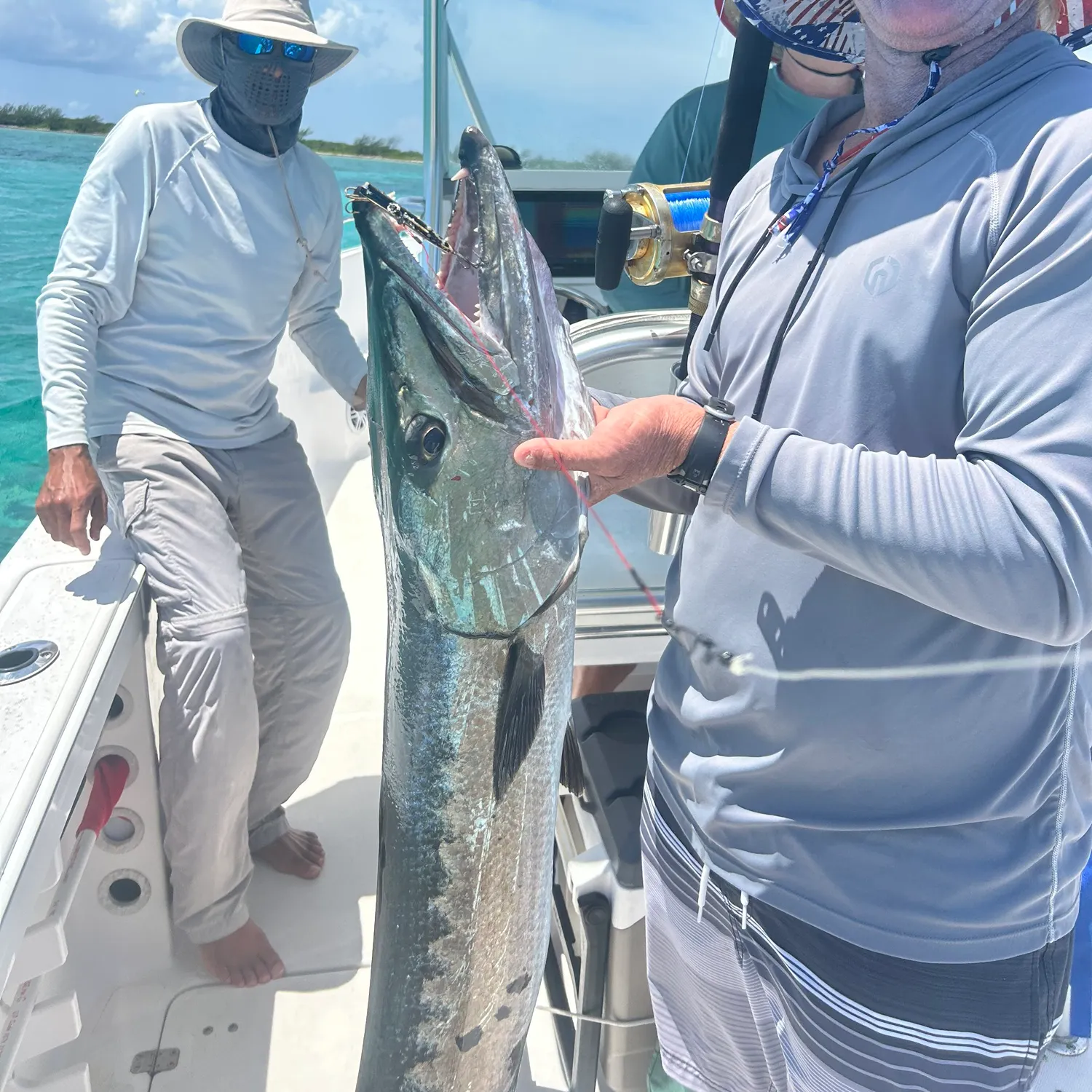 Great barracuda caught on Fishbrain