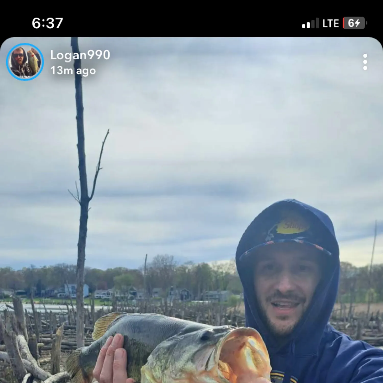recently logged catches