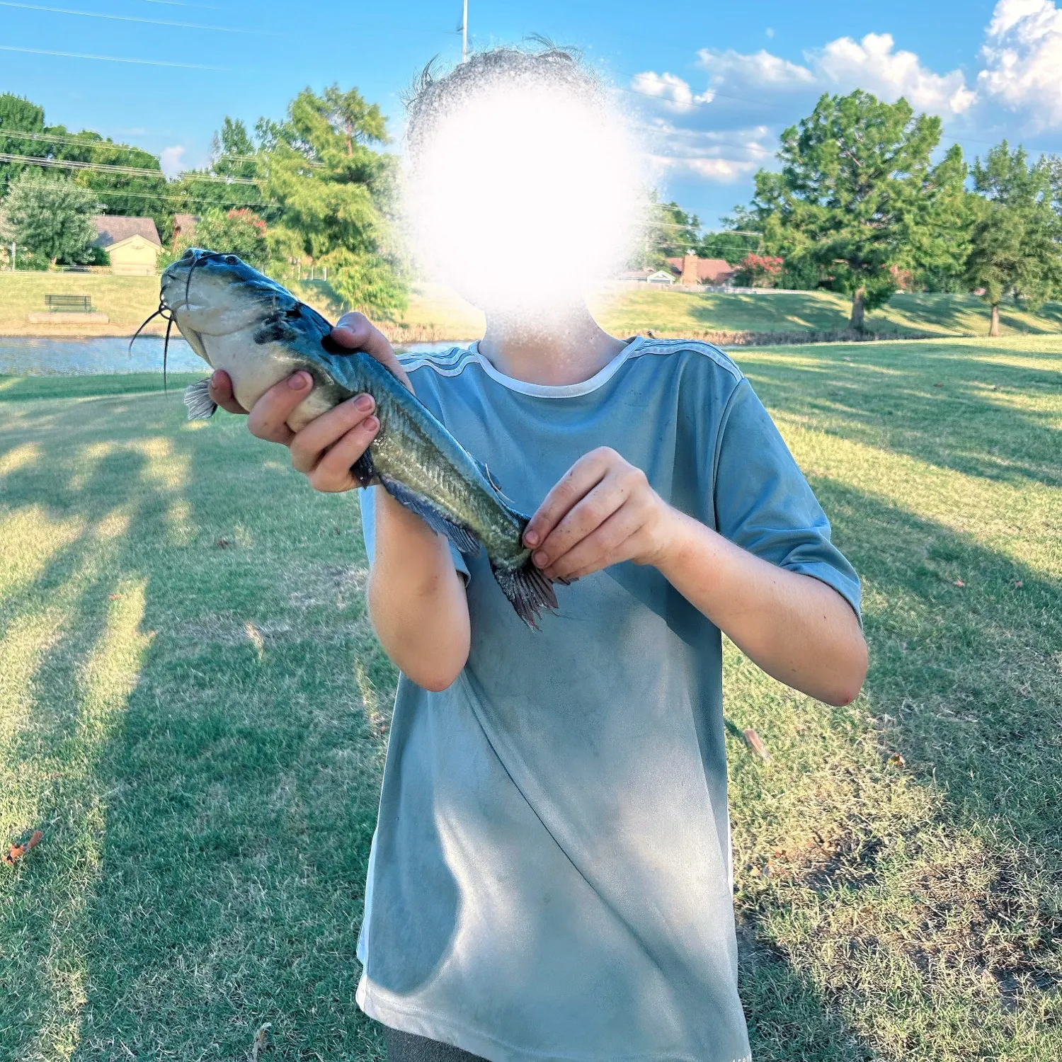 Channel catfish caught on Fishbrain