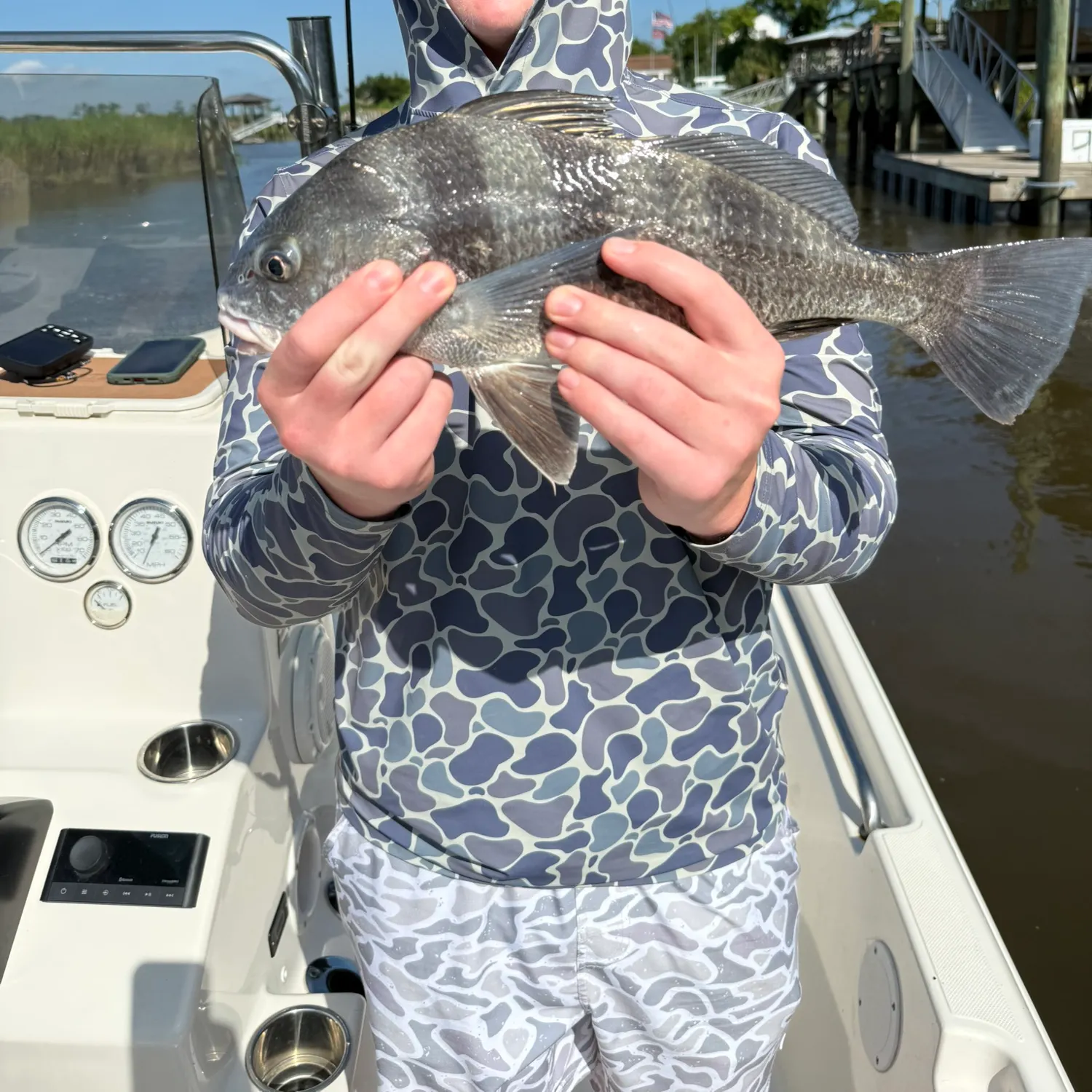 Black drum caught on Fishbrain