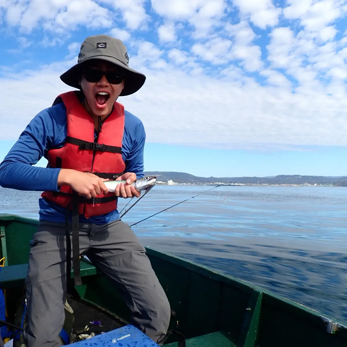 The most recent Narrow-barred Spanish mackerel catches on Fishbrain
