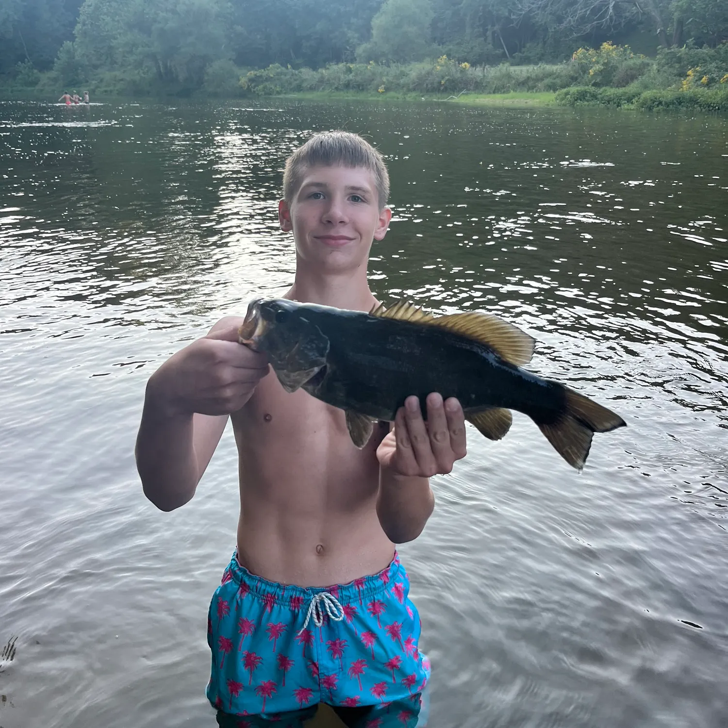 Smallmouth bass caught on Fishbrain