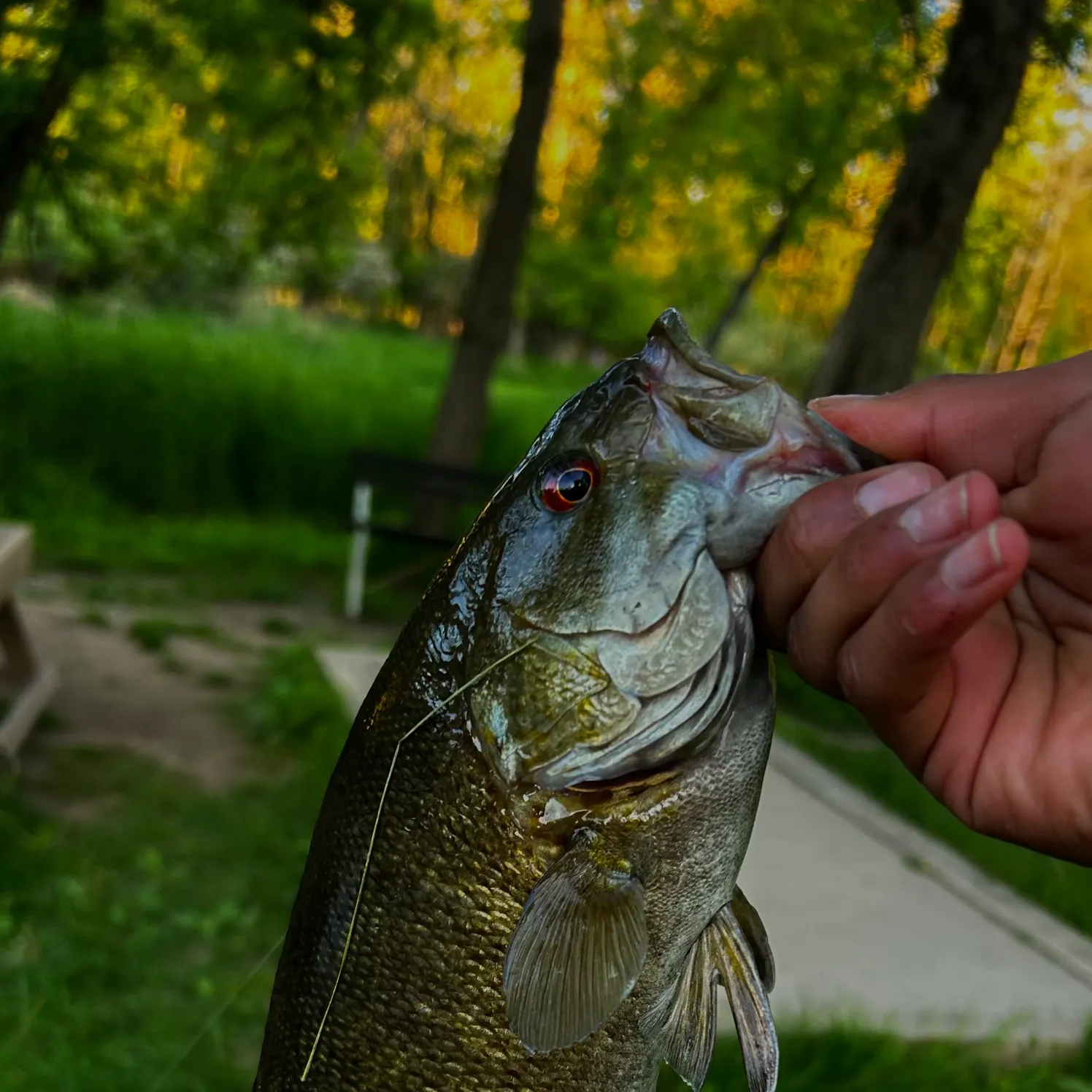 catch