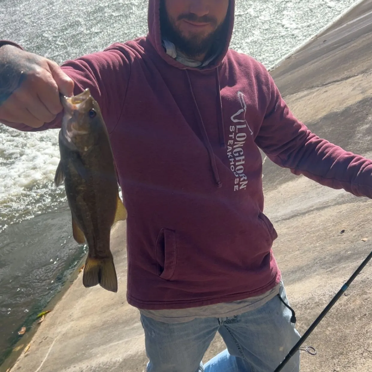 Smallmouth bass caught on Fishbrain