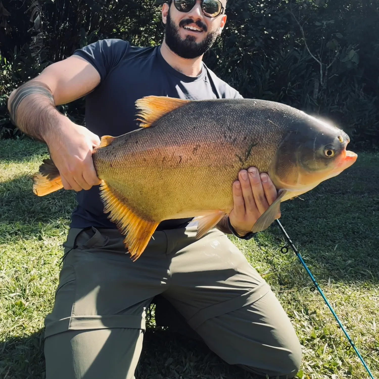 The most recent Small-scaled pacu catches on Fishbrain