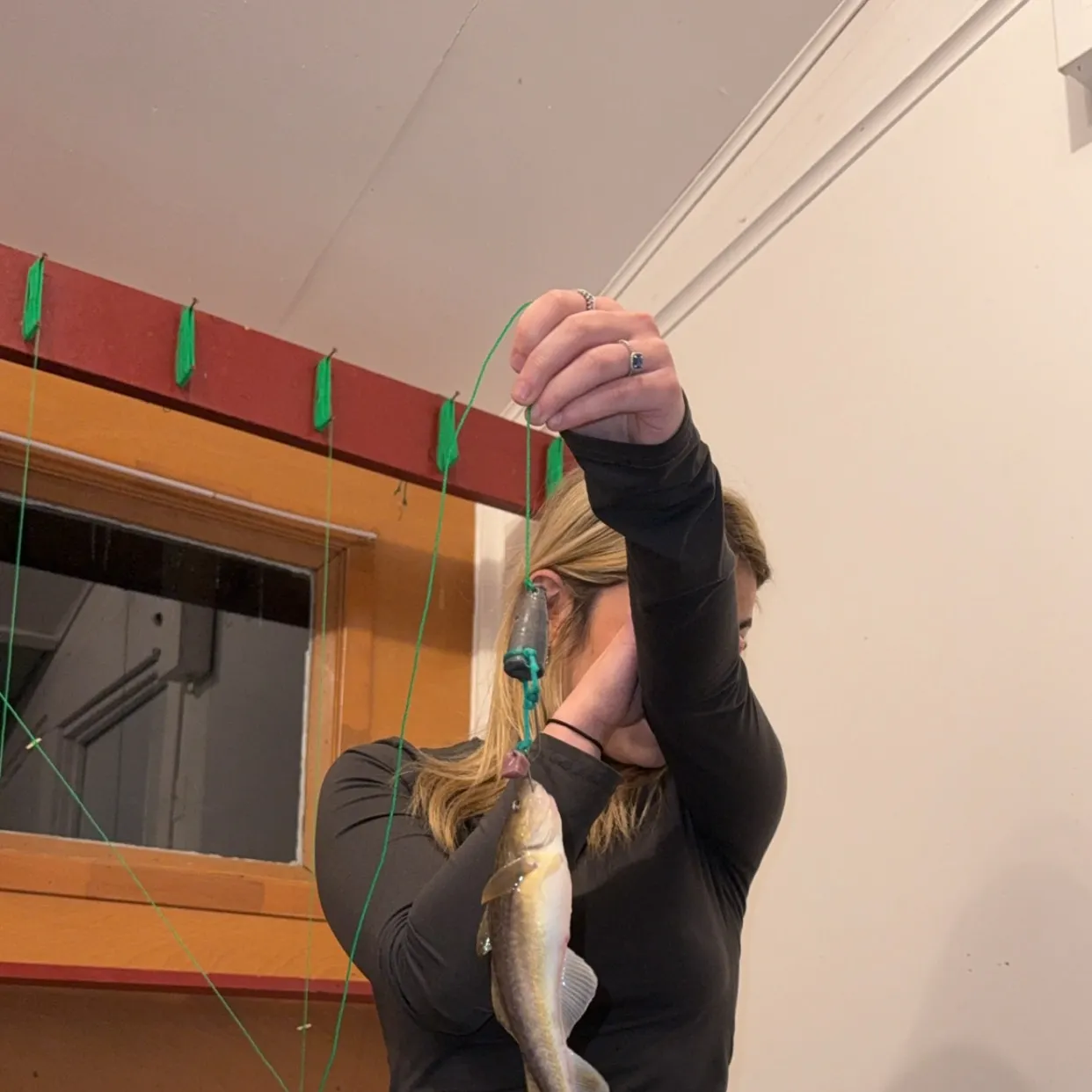 The most recent Atlantic tomcod catches on Fishbrain