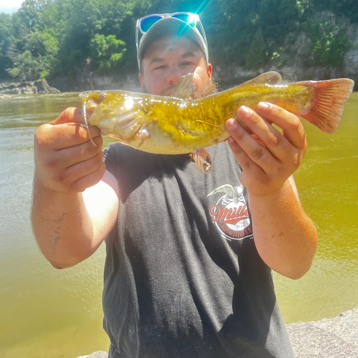The most recent Brown bullhead catches on Fishbrain