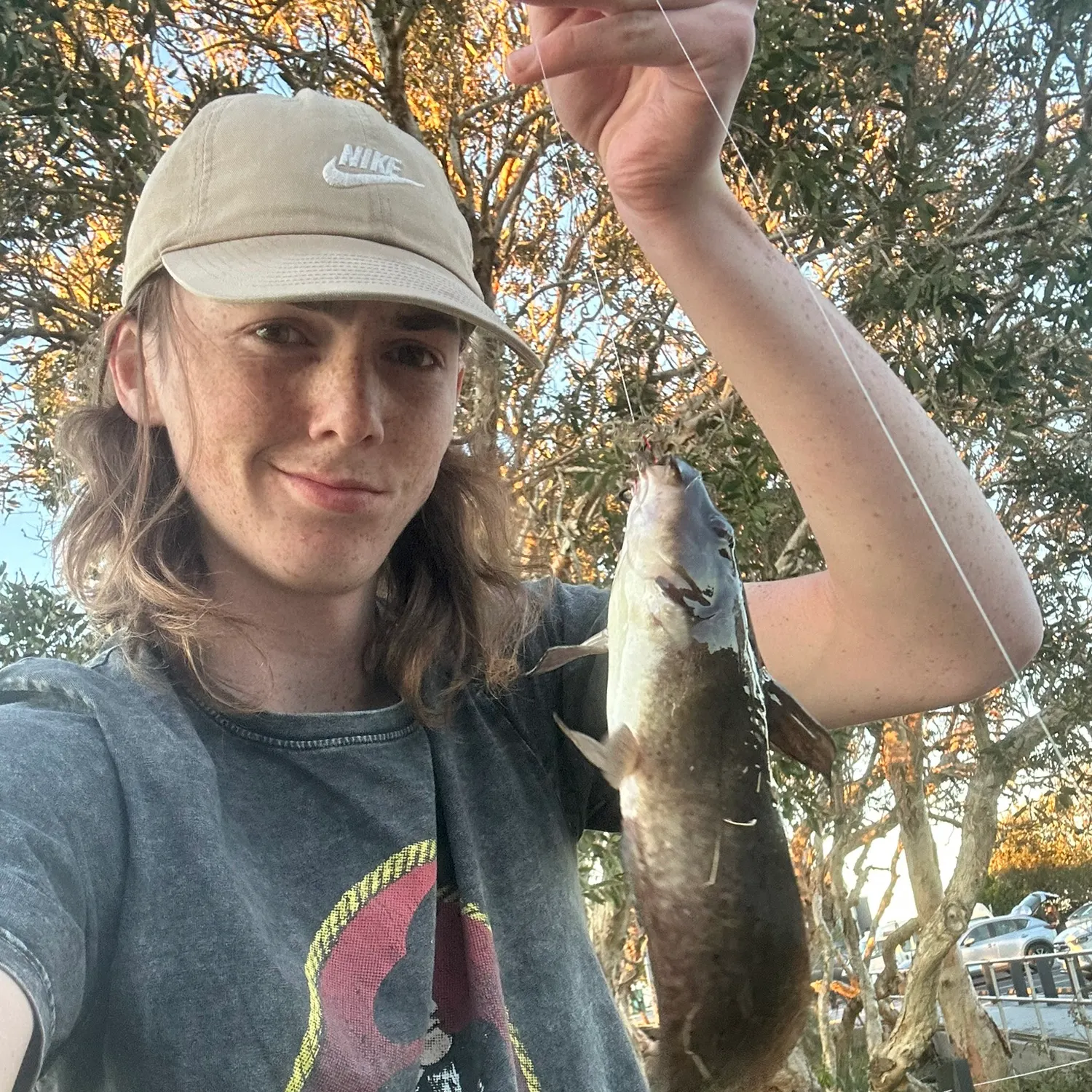 The most recent Dewfish catches on Fishbrain