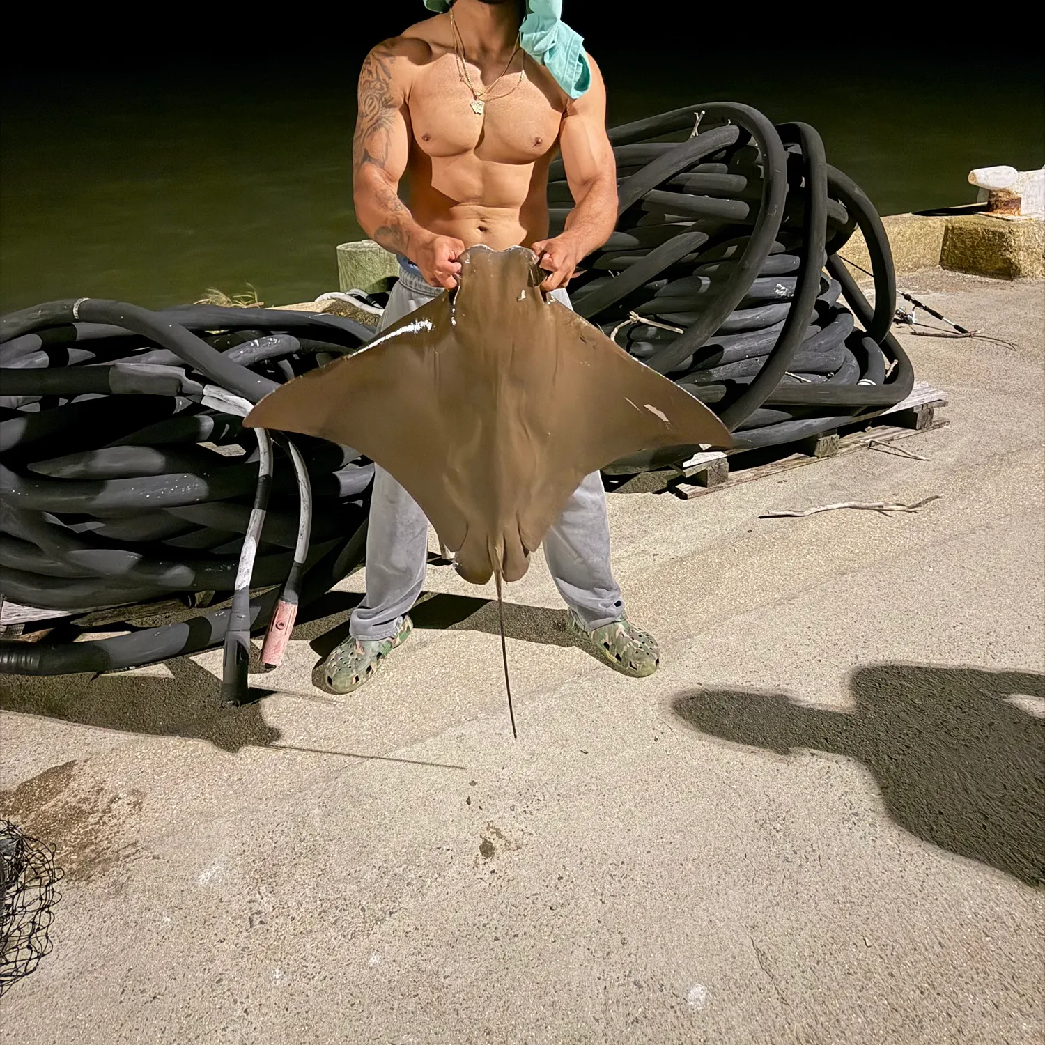 Cownose Ray caught on Fishbrain
