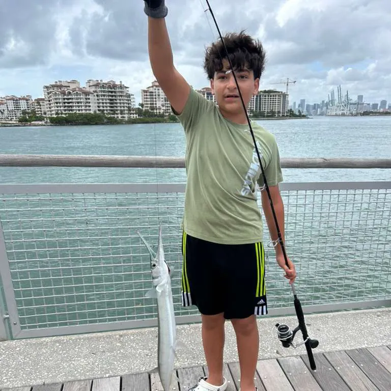 The most recent Flat needlefish catches on Fishbrain